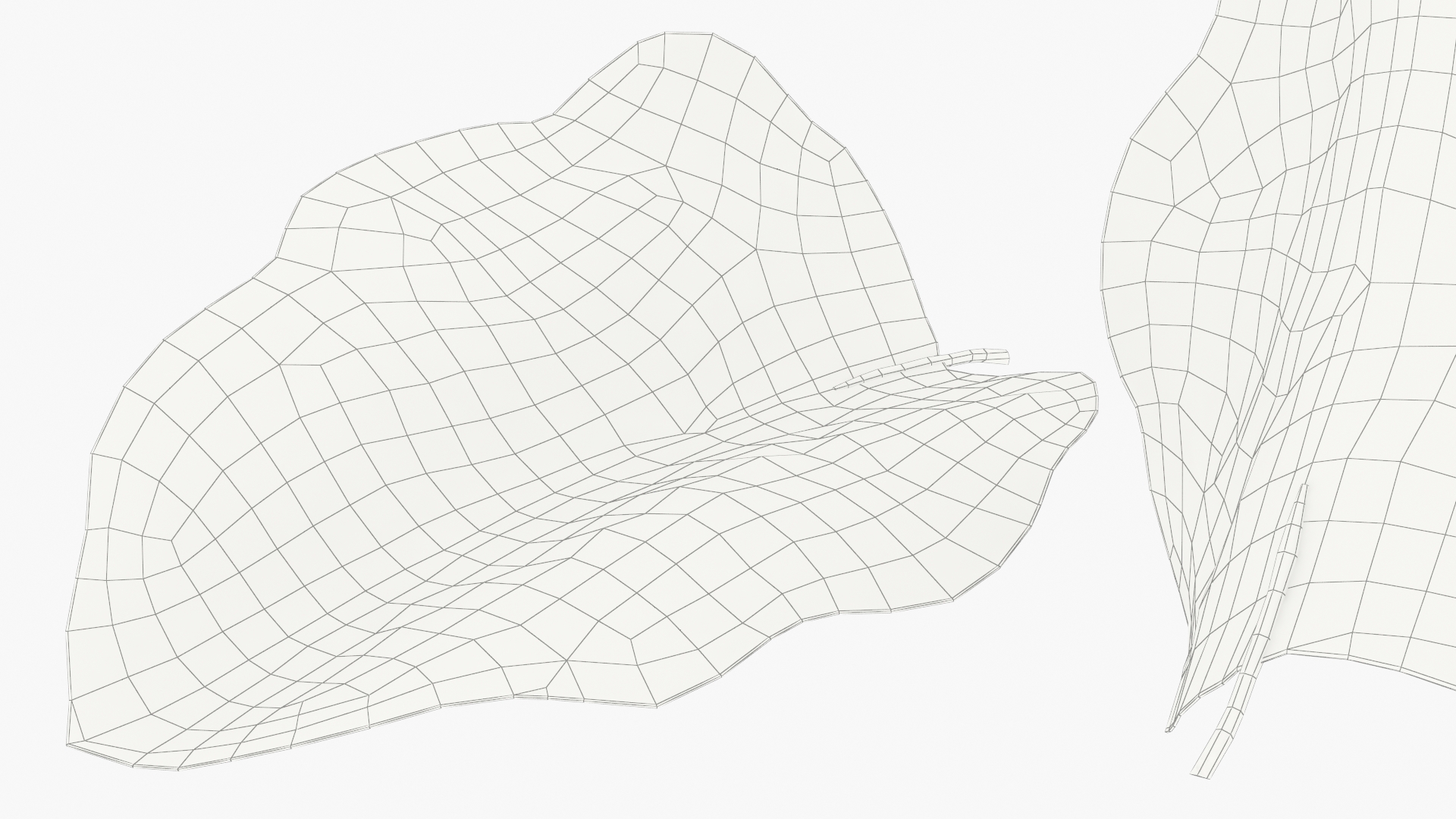 Eggplant Leaf with Organic Structure Green, view 6