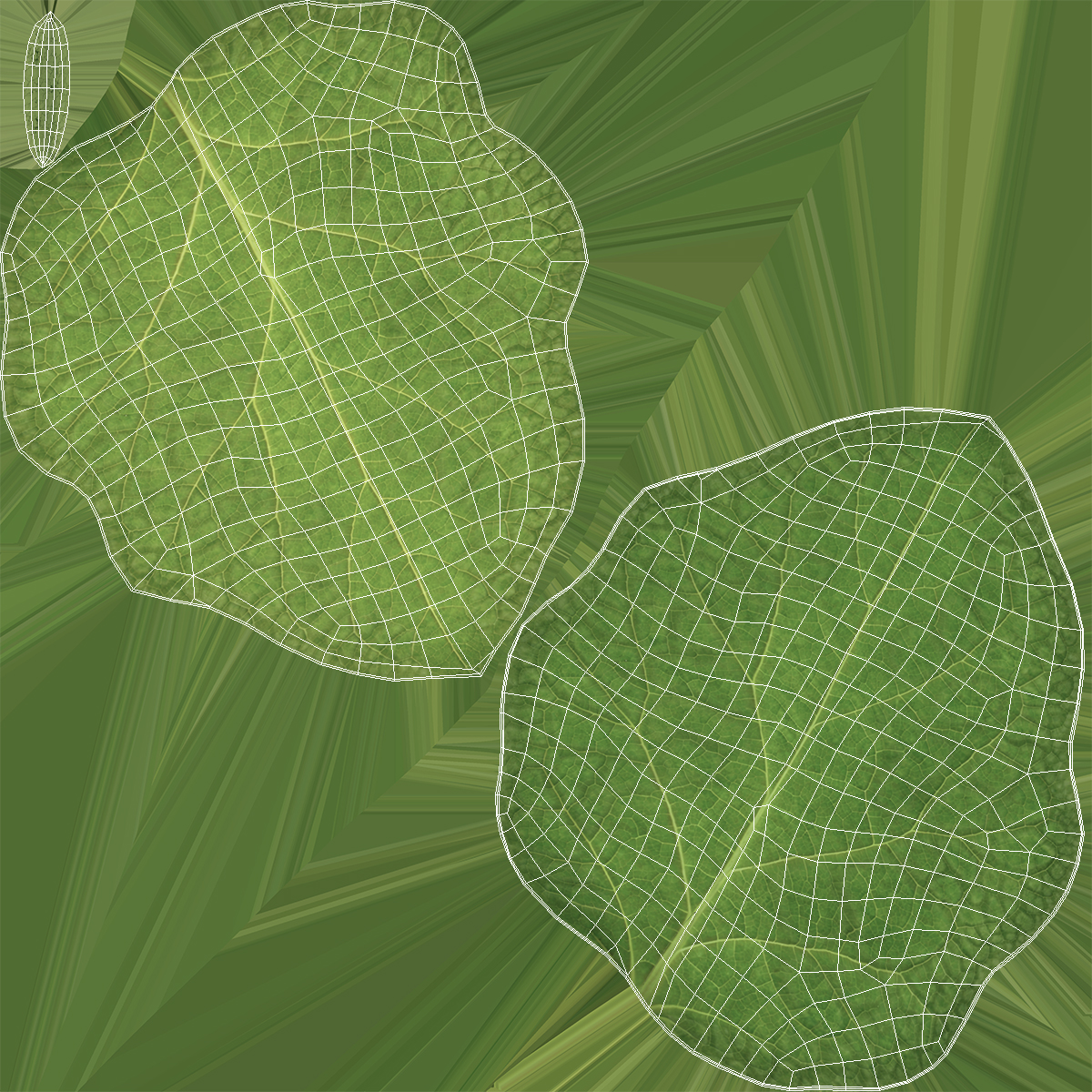 Eggplant Leaf with Organic Structure Green, view 7