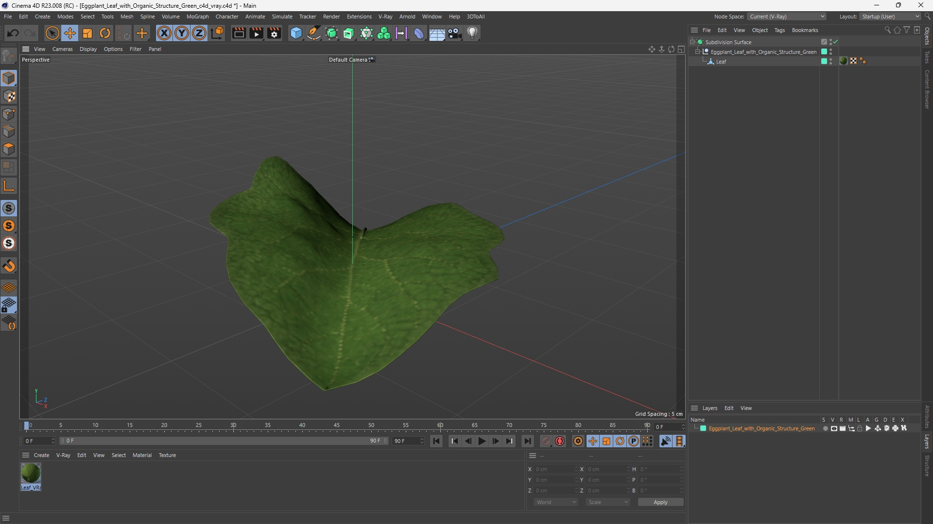 Eggplant Leaf with Organic Structure Green, view 11