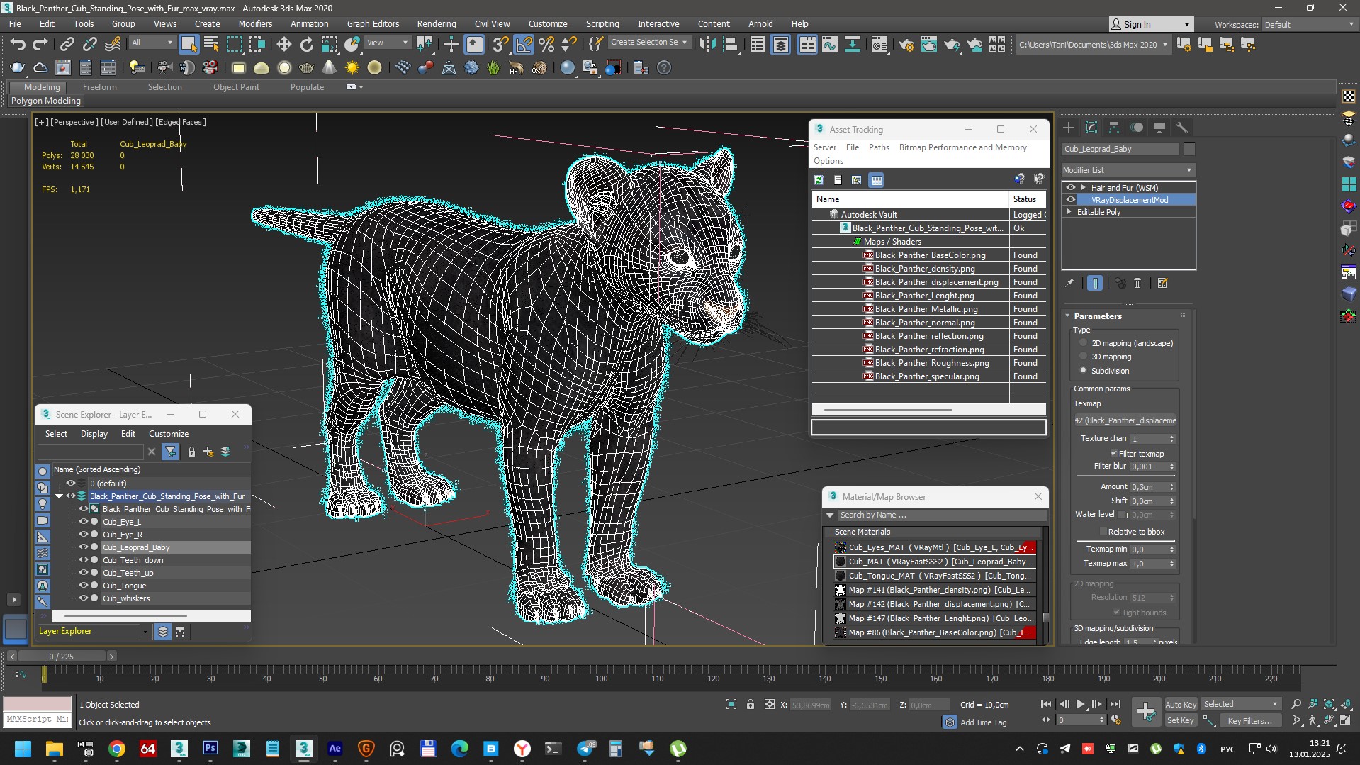 3D model Black Panther Cub Standing Pose with Fur