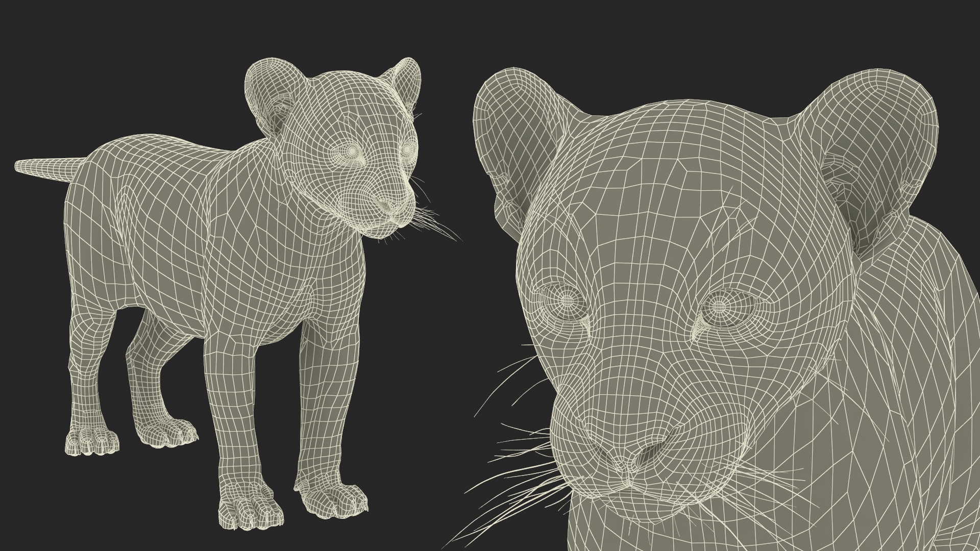 3D model Black Panther Cub Standing Pose with Fur