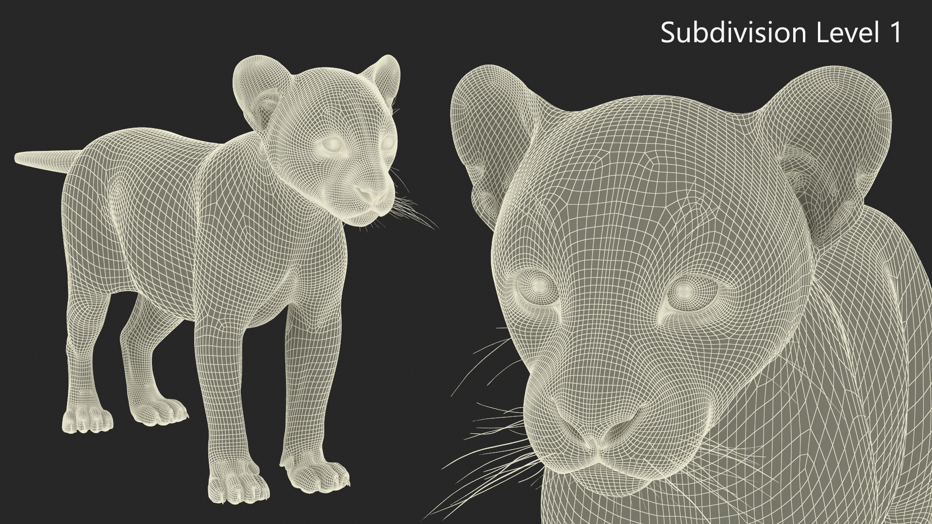 3D model Black Panther Cub Standing Pose with Fur