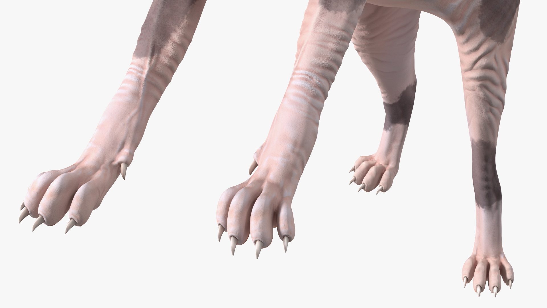 3D model Cat Tree 3-Level with Cat