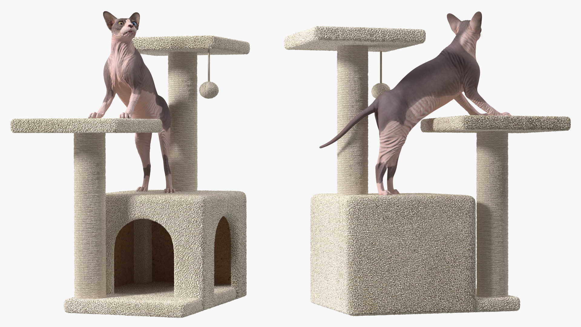 3D model Cat Tree 3-Level with Cat