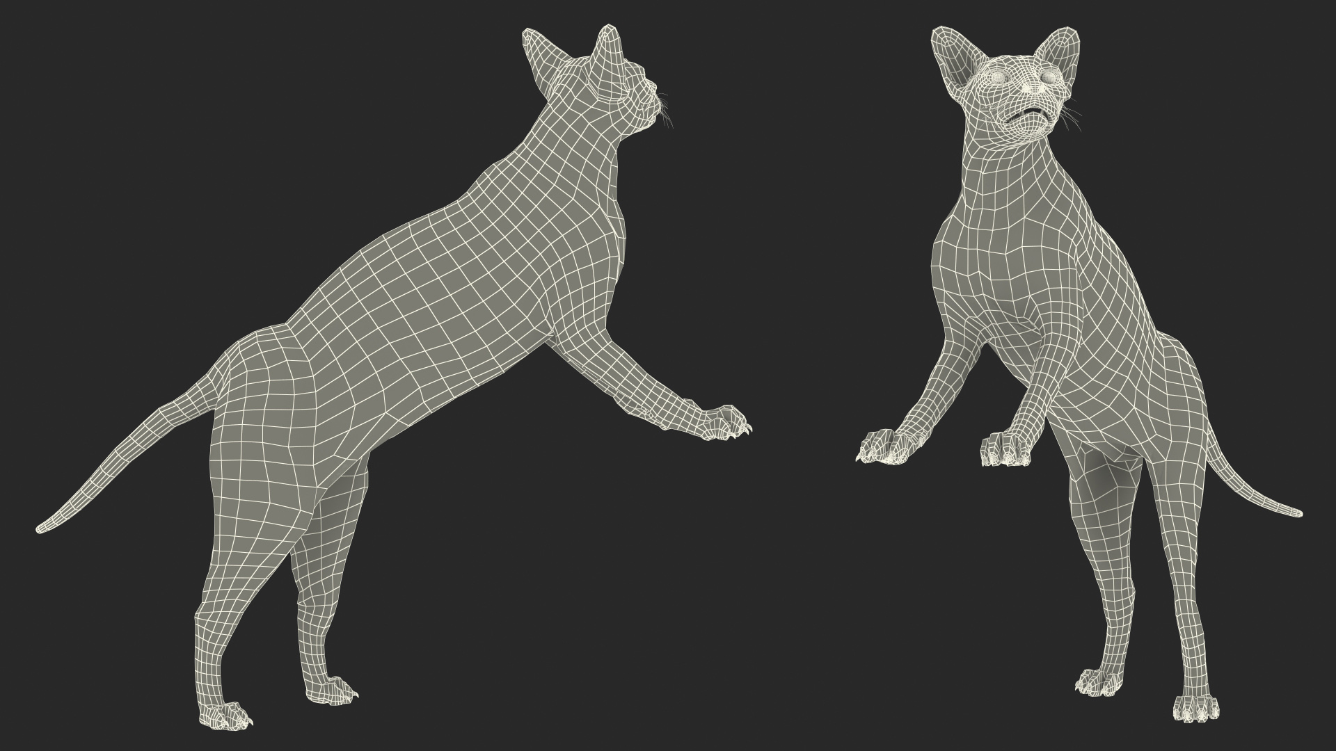 3D model Cat Tree 3-Level with Cat