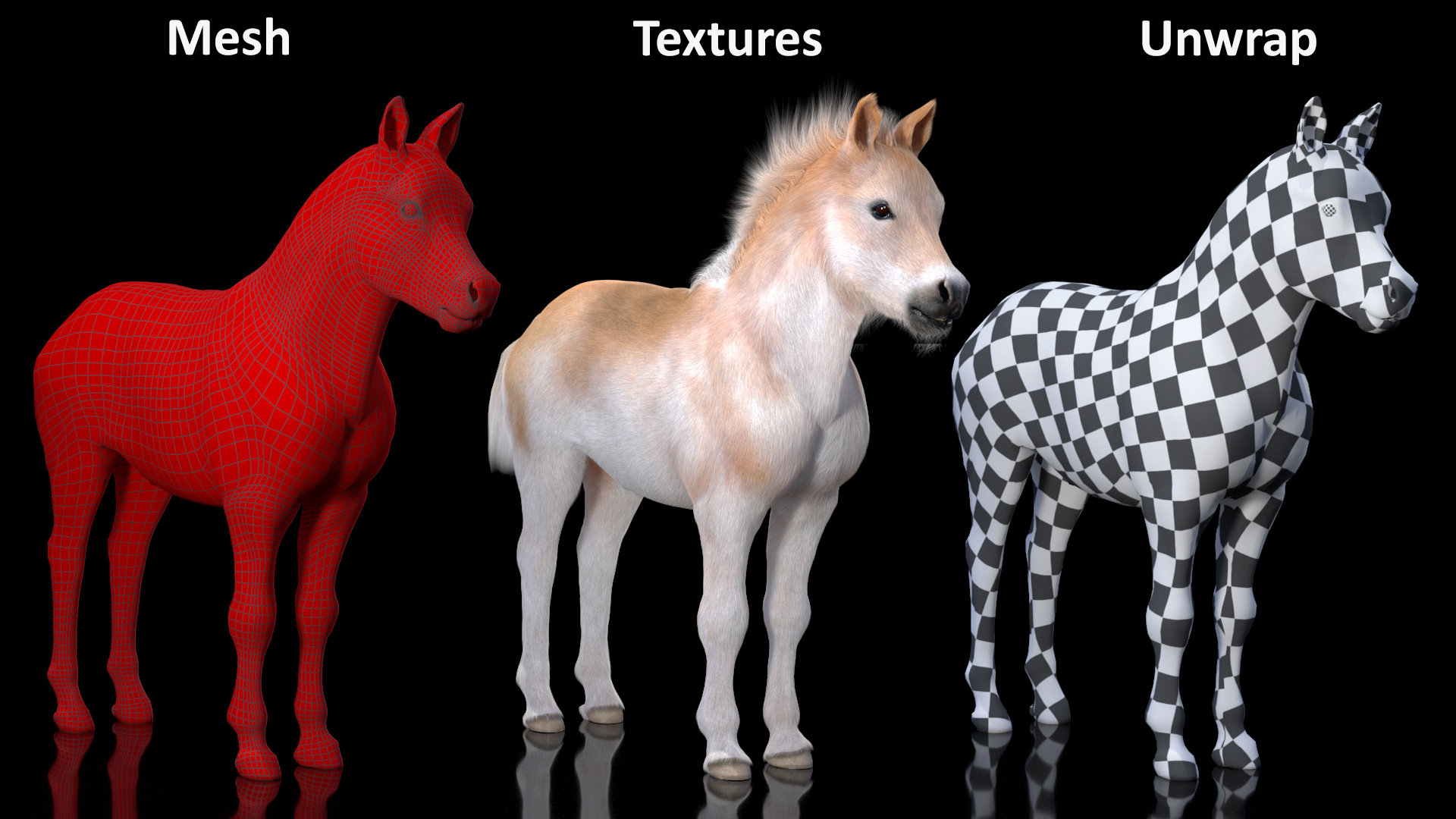 Realistic Shetland Pony Fur 3D