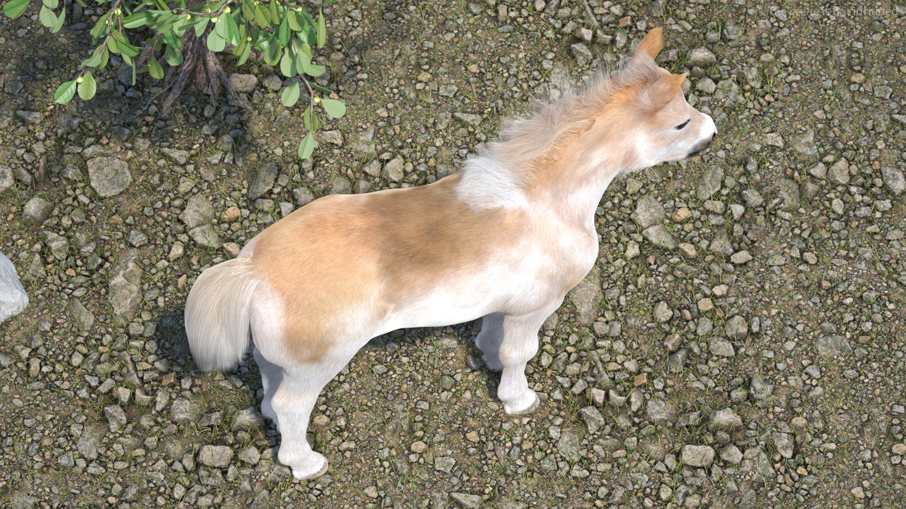 Realistic Shetland Pony Fur 3D