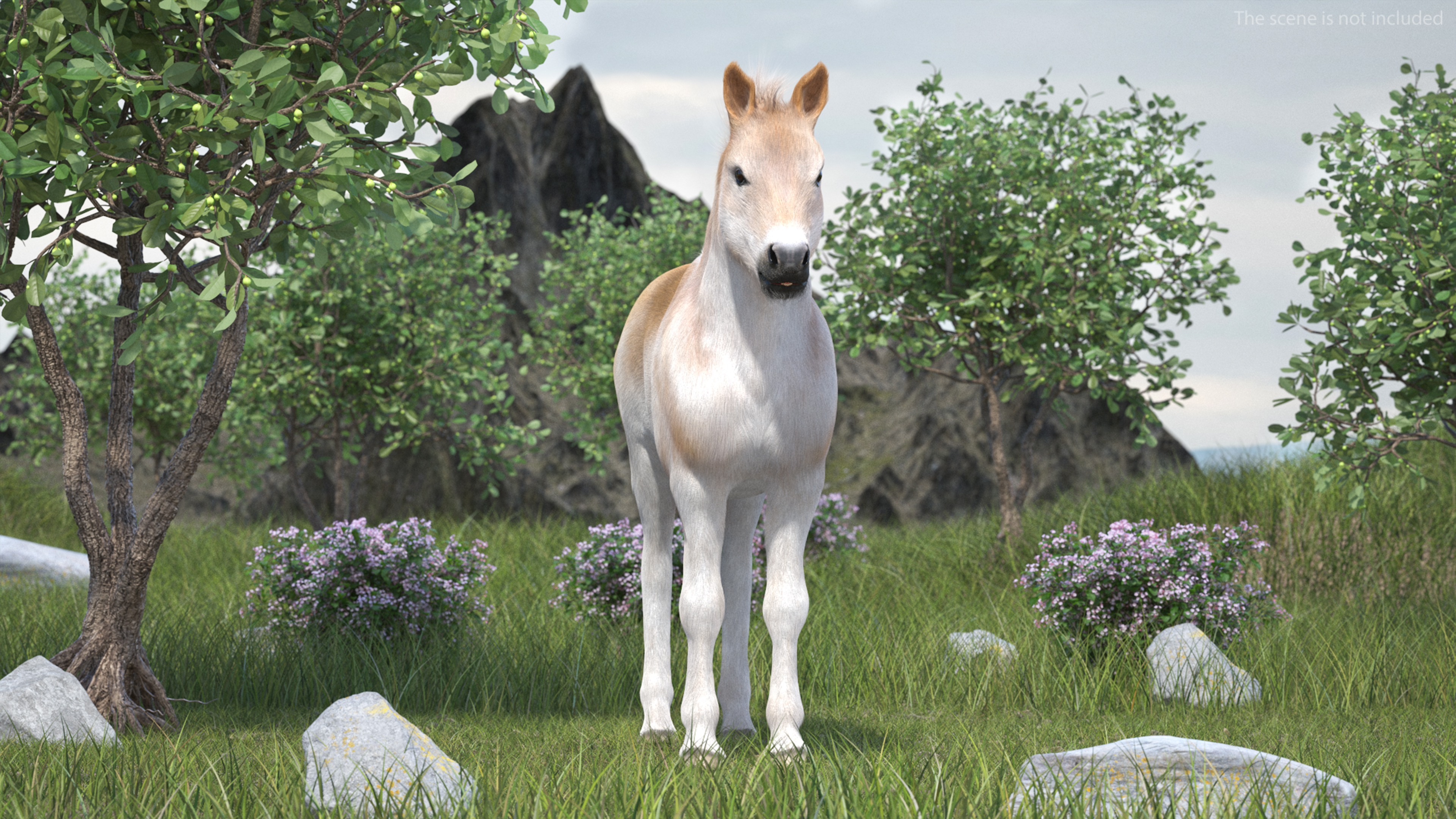 Realistic Shetland Pony Fur 3D