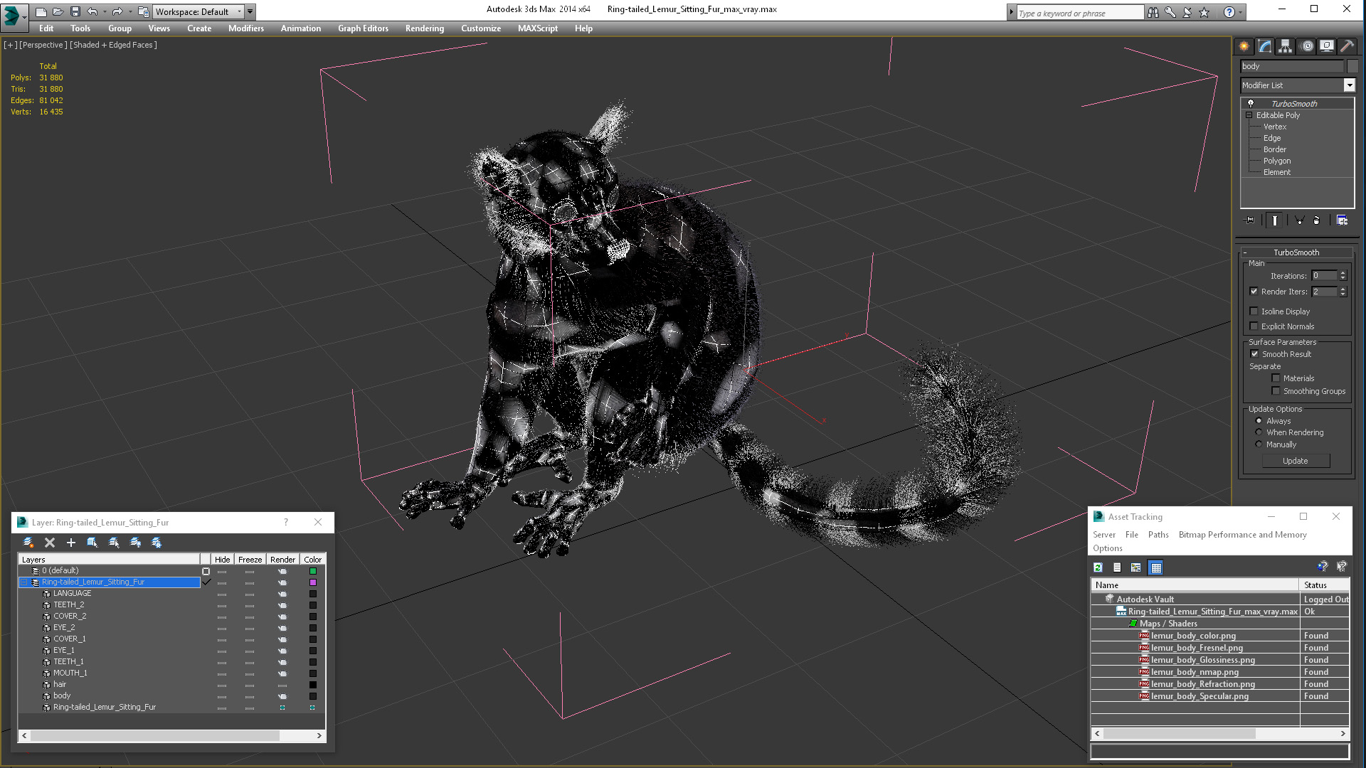 Ring-tailed Lemur Sitting Fur 3D model