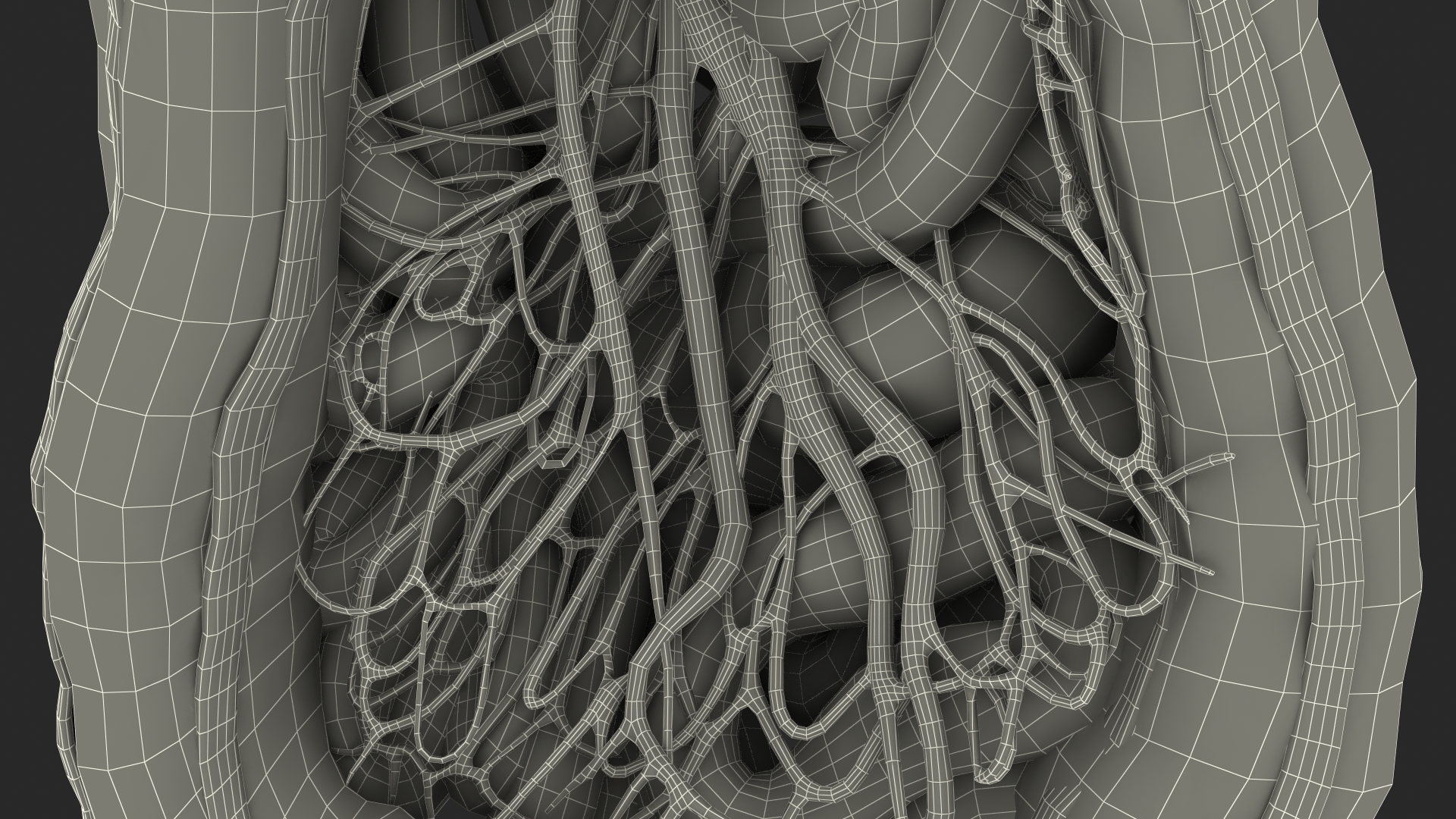 3D Young Man Anatomy Intestines model