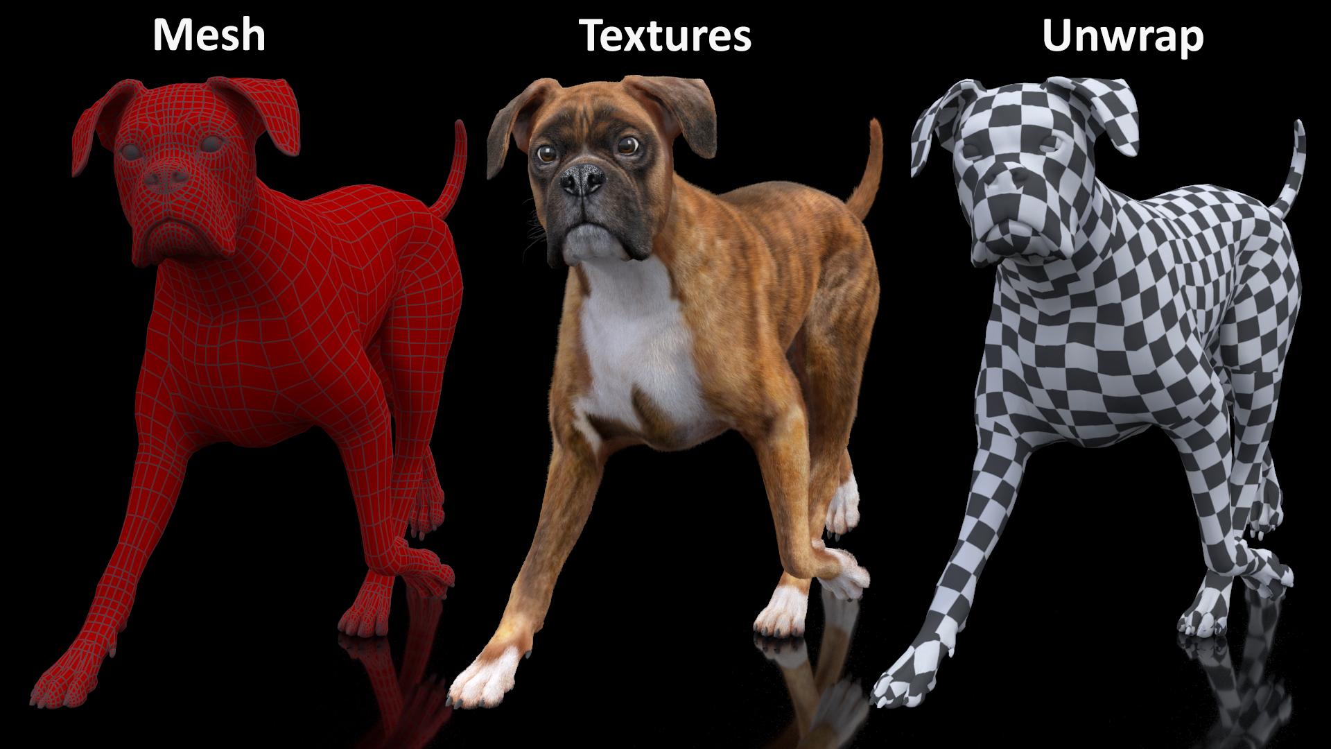 3D model Running Dog Boxer Tiger Colored Fur