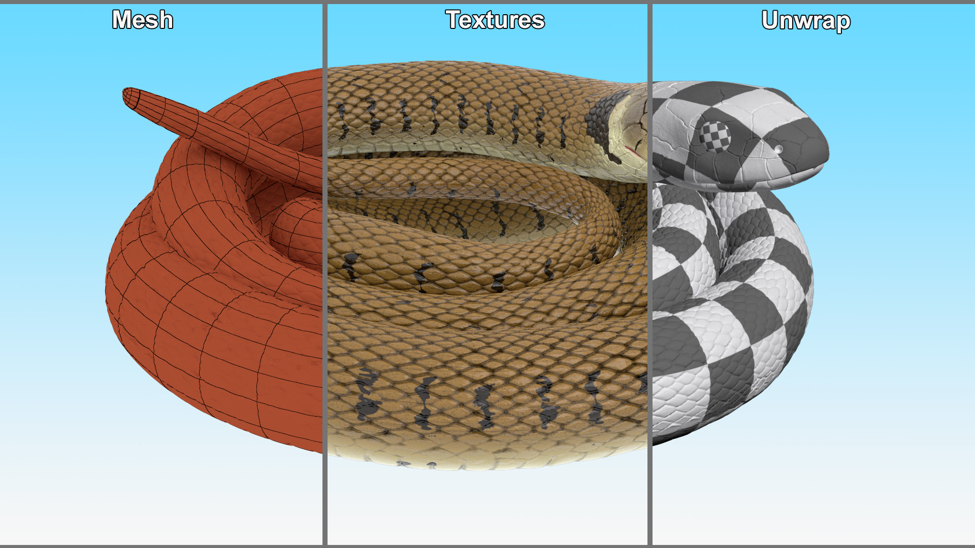 3D model Ringed Snake Brown Coiled
