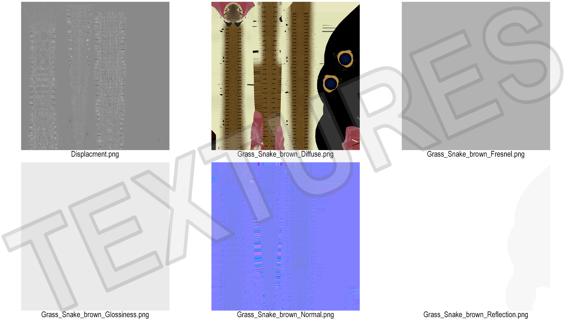 3D model Ringed Snake Brown Coiled