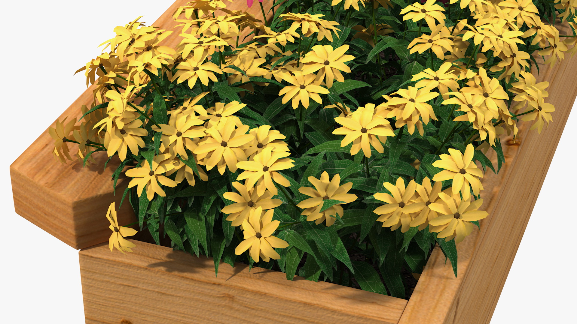 3D model Wooden Flower Planter Box
