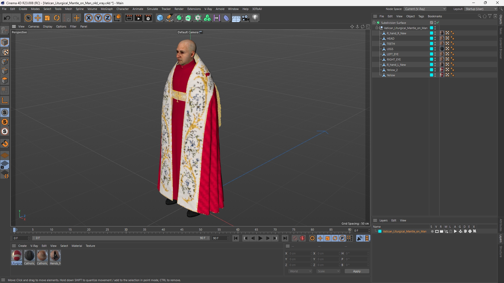 Vatican Liturgical Mantle on Man - view 12