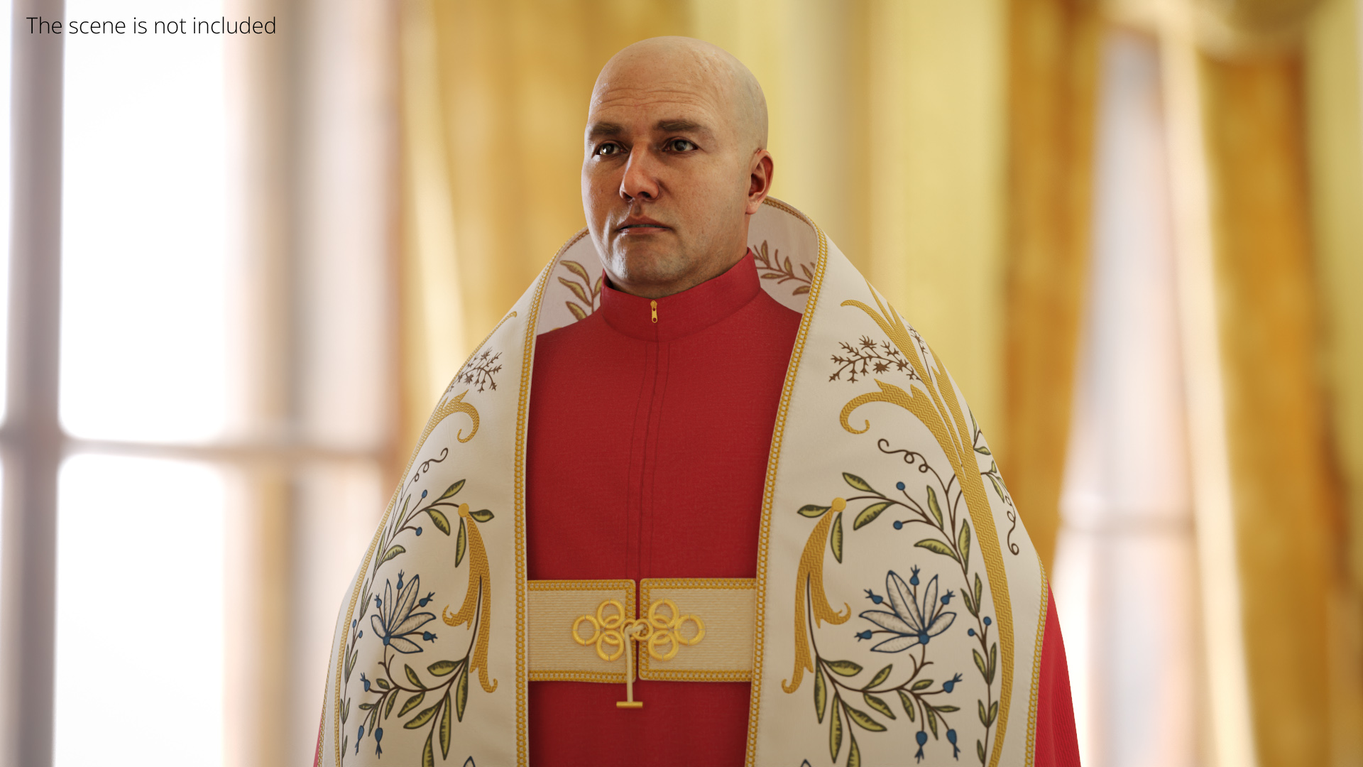 Vatican Liturgical Mantle on Man - view 3