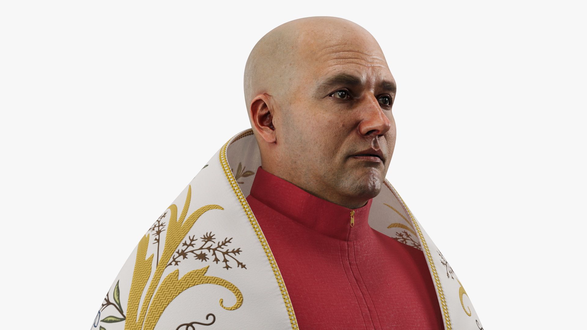 Vatican Liturgical Mantle on Man - view 6