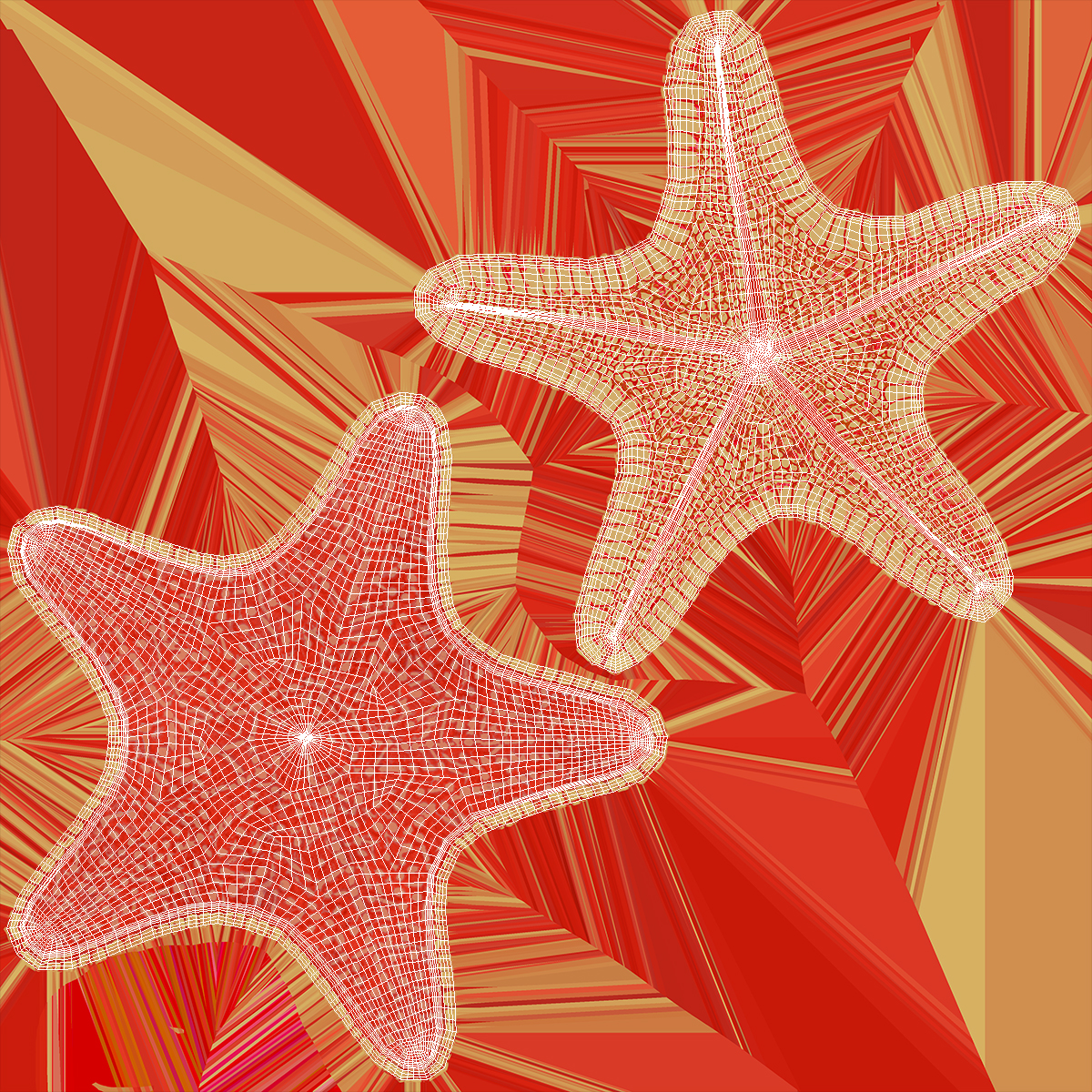Sea Star Marine Invertebrate Red 3D