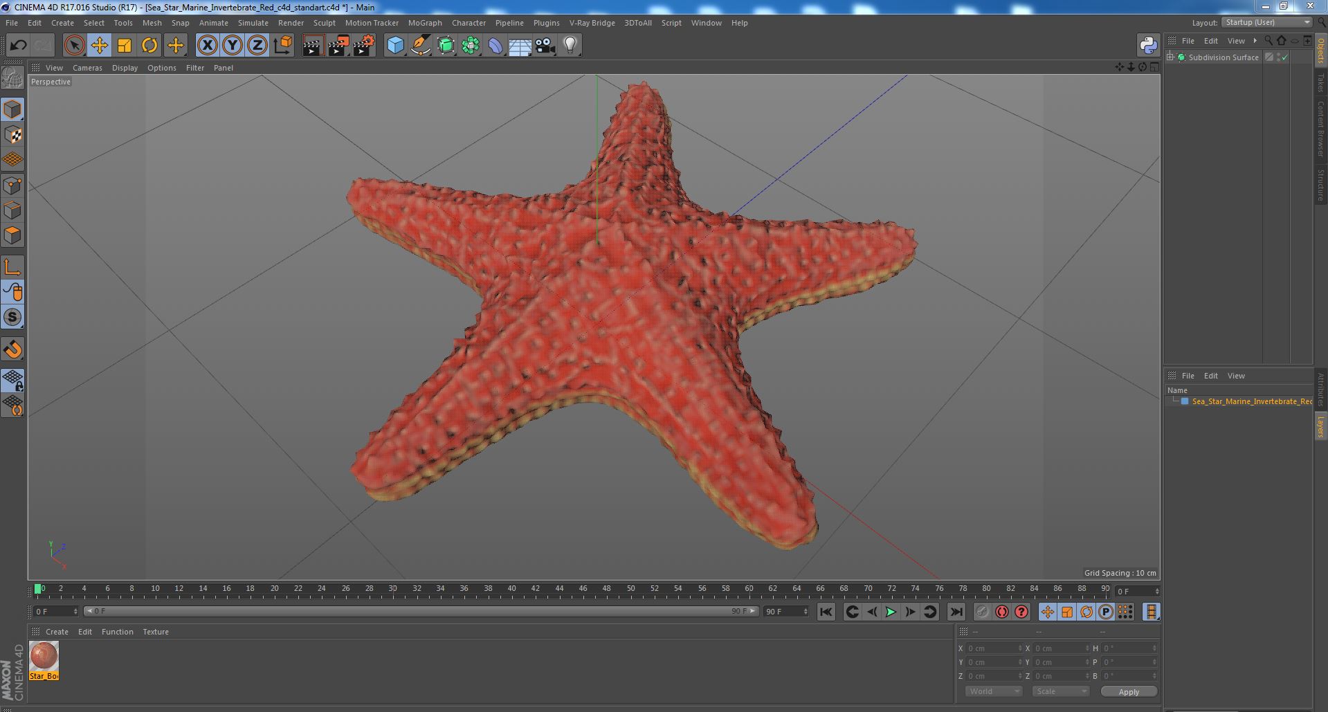 Sea Star Marine Invertebrate Red 3D
