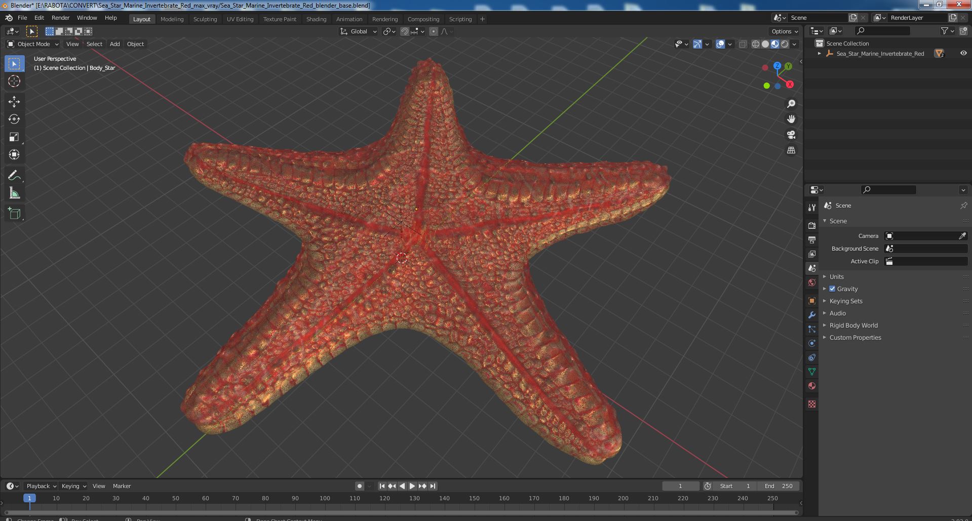 Sea Star Marine Invertebrate Red 3D