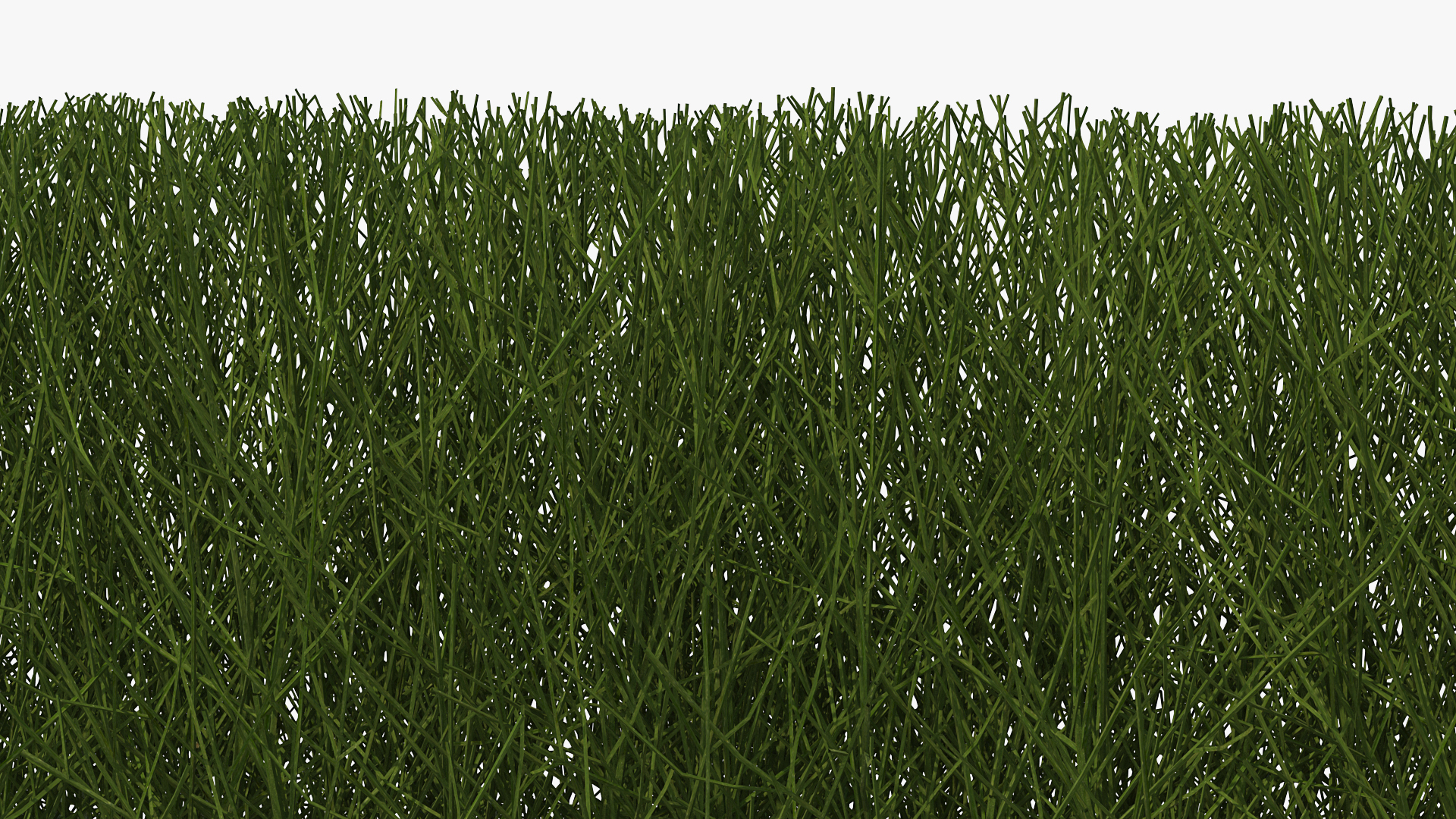 3D Shrub Branch Fence model