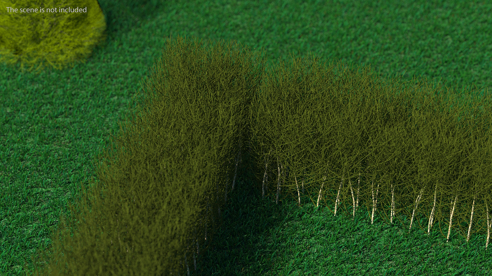 3D Shrub Branch Fence model