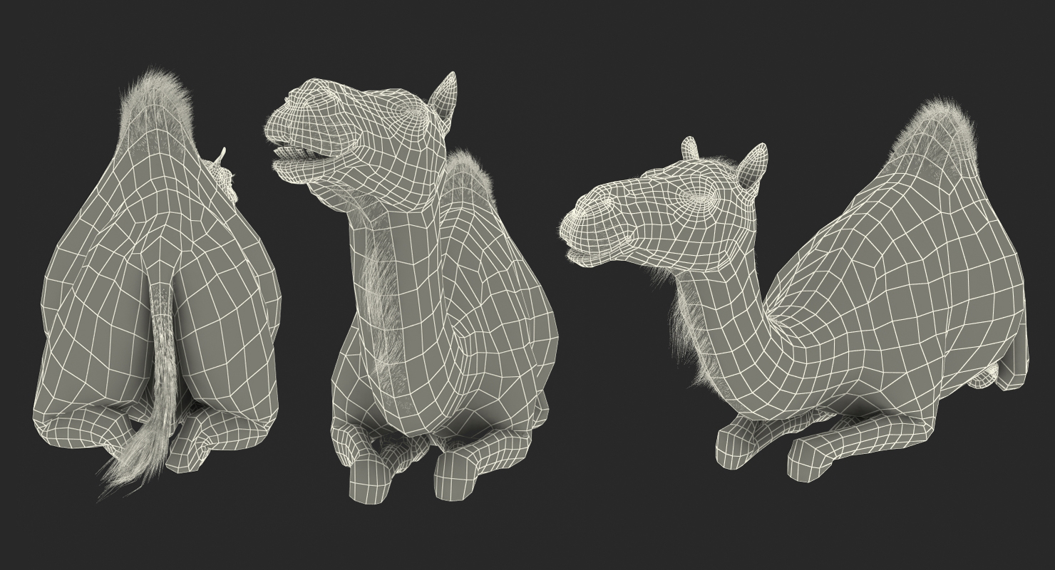 3D Camel Sitting Pose model