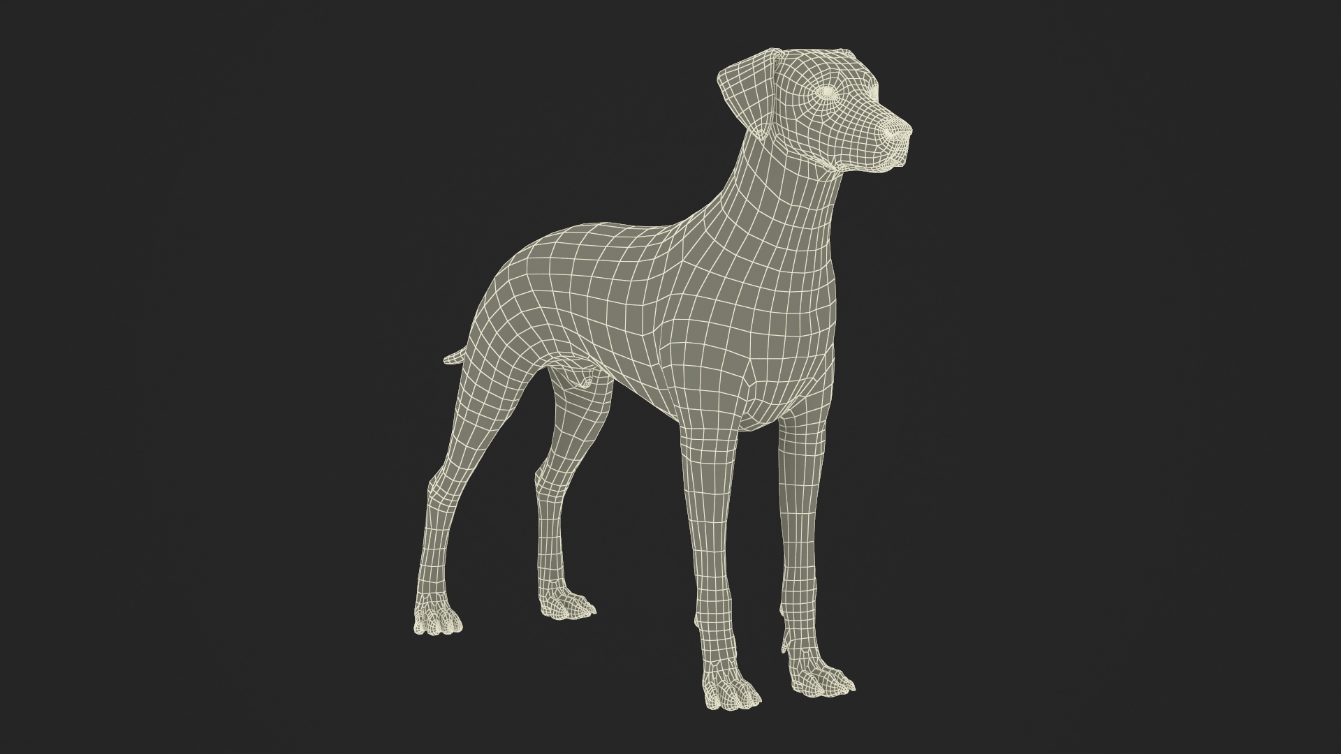 Dalmatian Dog Fur 3D