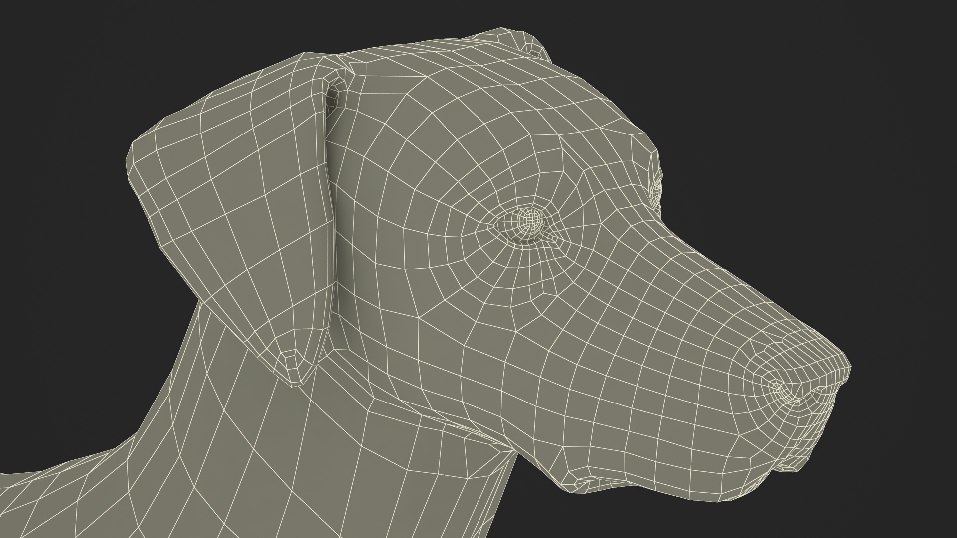 Dalmatian Dog Fur 3D