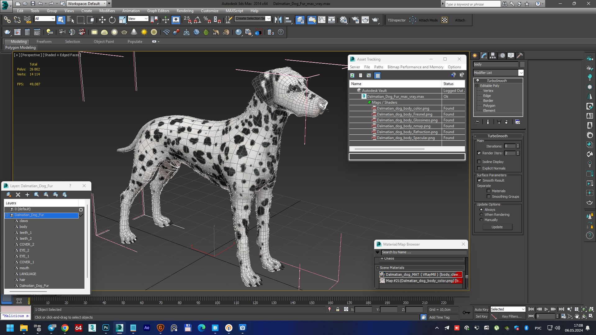Dalmatian Dog Fur 3D