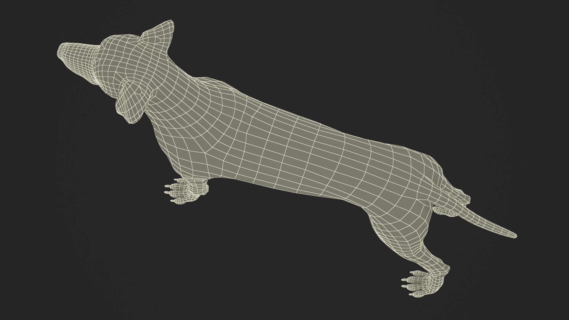 Dalmatian Dog Fur 3D