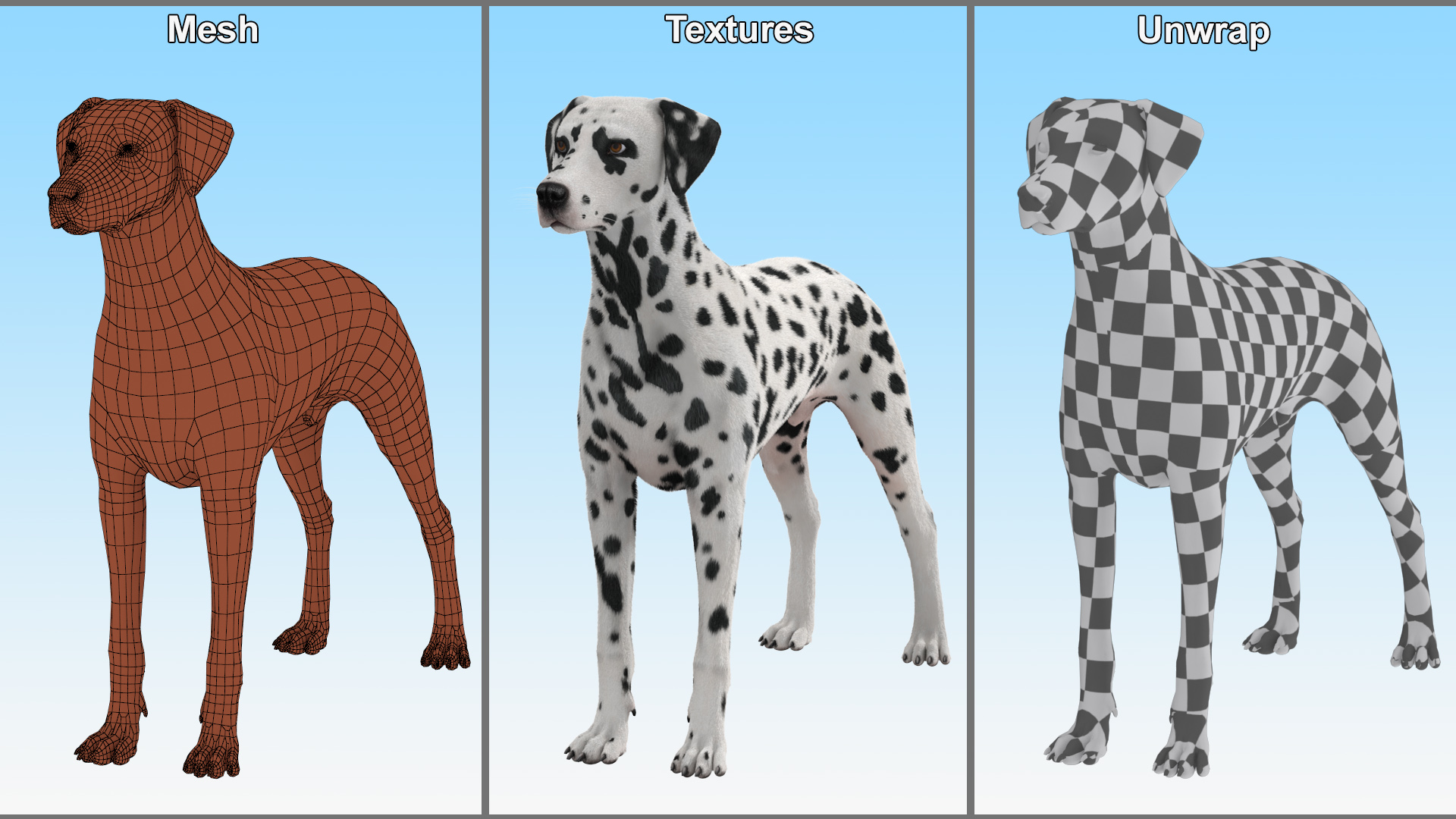 Dalmatian Dog Fur 3D