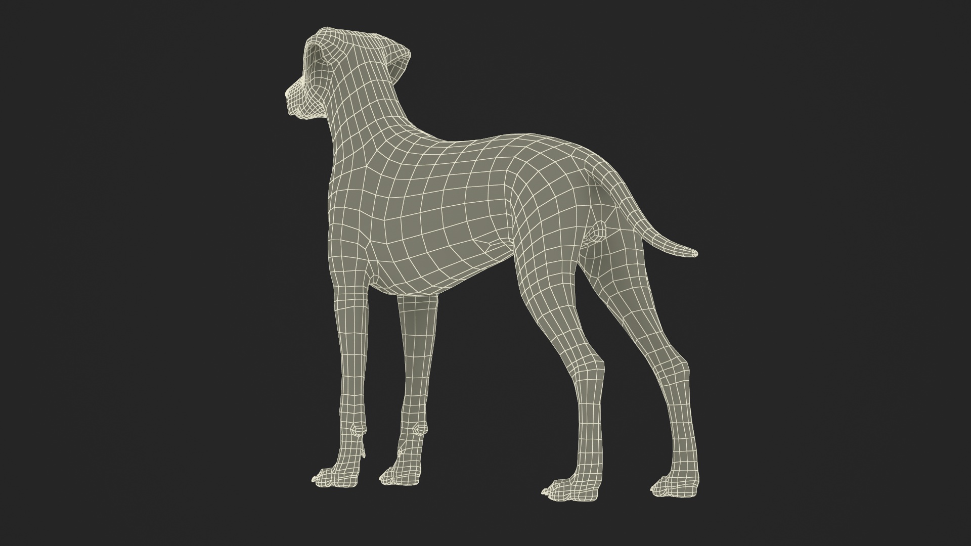 Dalmatian Dog Fur 3D