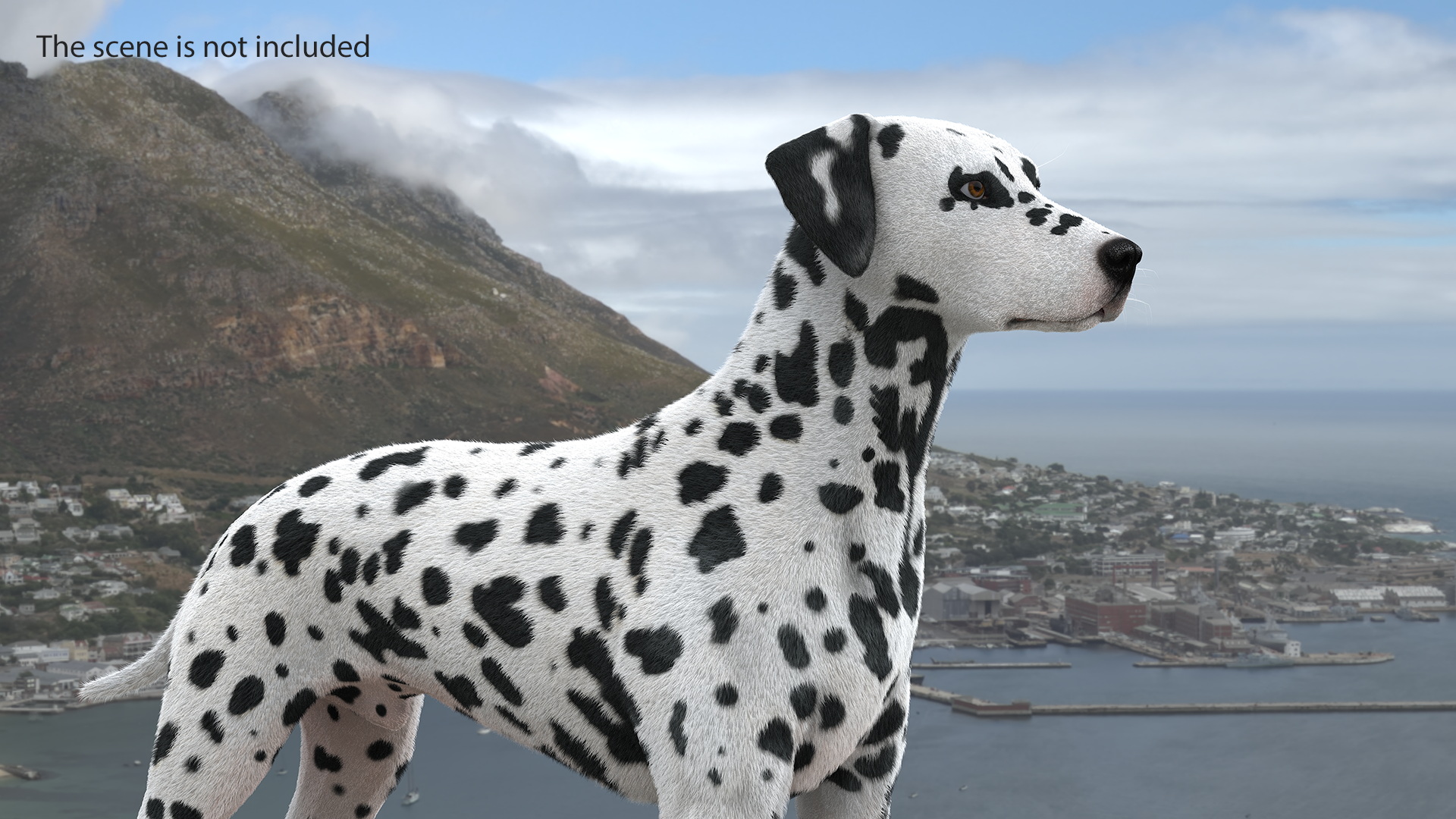 Dalmatian Dog Fur 3D