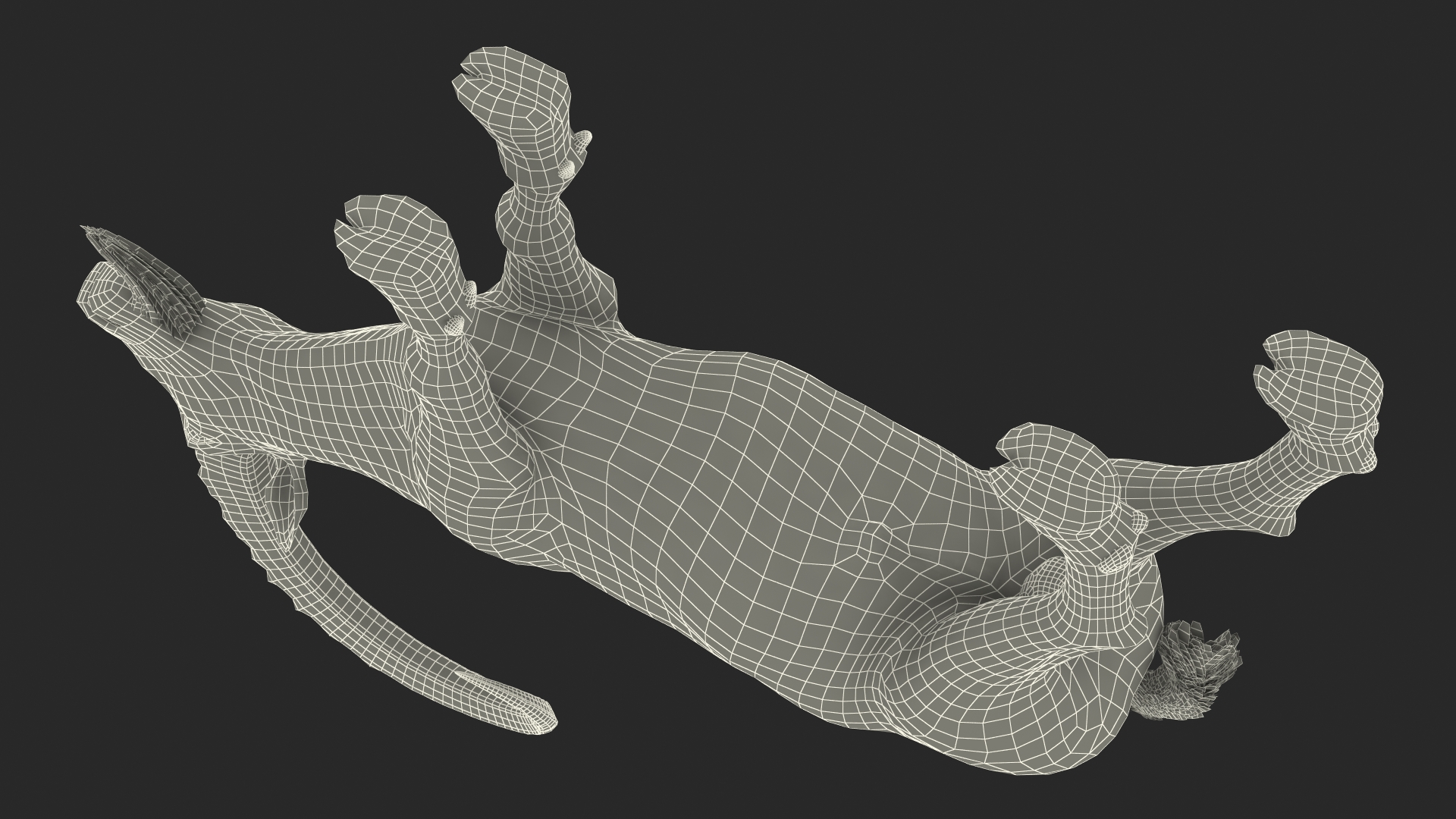 Alpine Ibex Stand Pose 3D