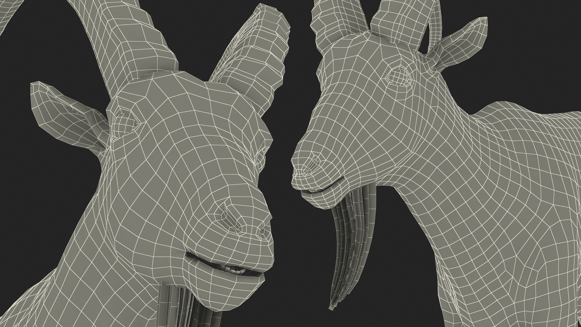 Alpine Ibex Stand Pose 3D
