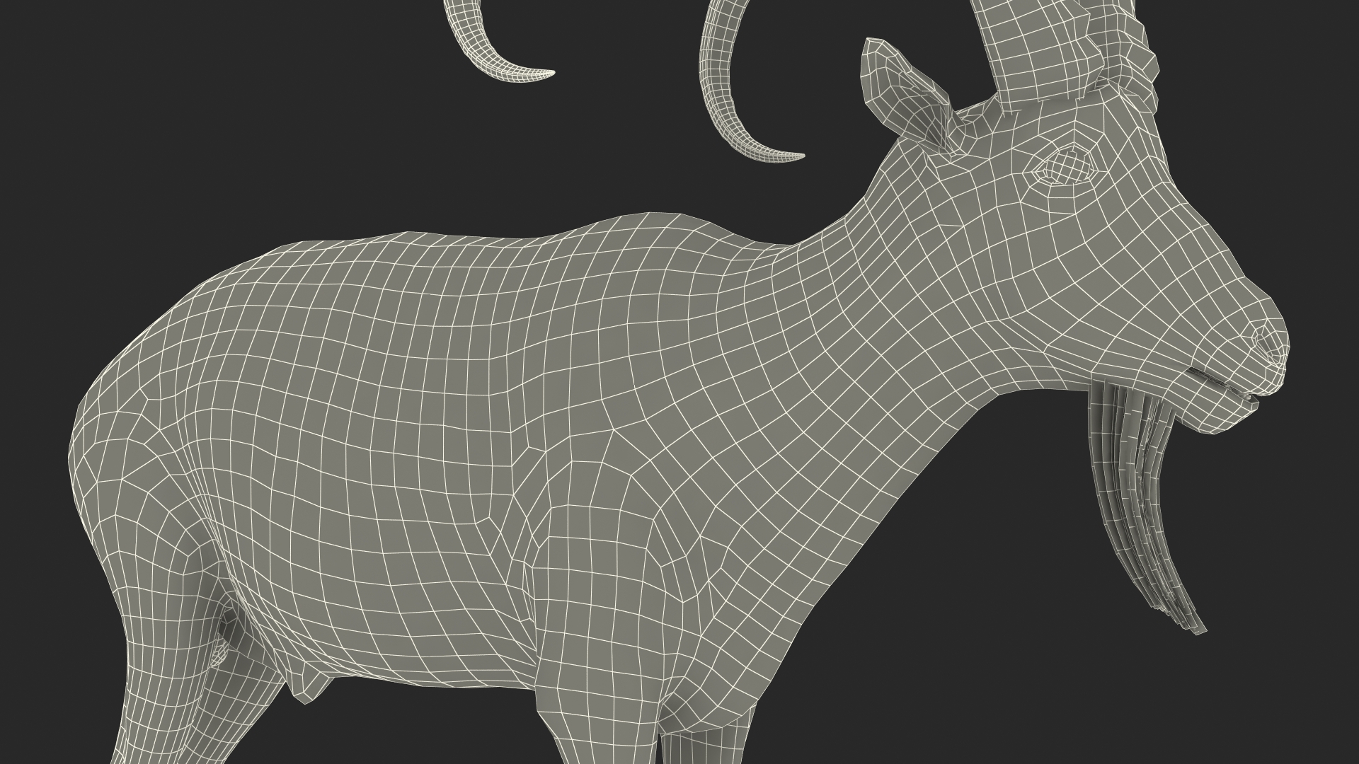 Alpine Ibex Stand Pose 3D