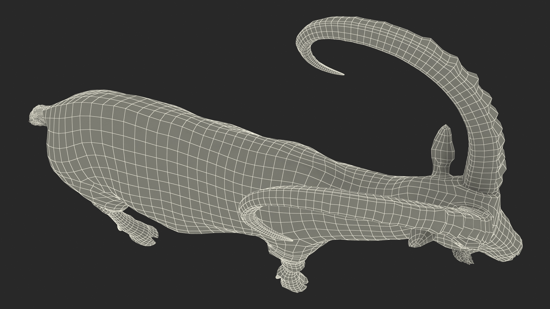 Alpine Ibex Stand Pose 3D