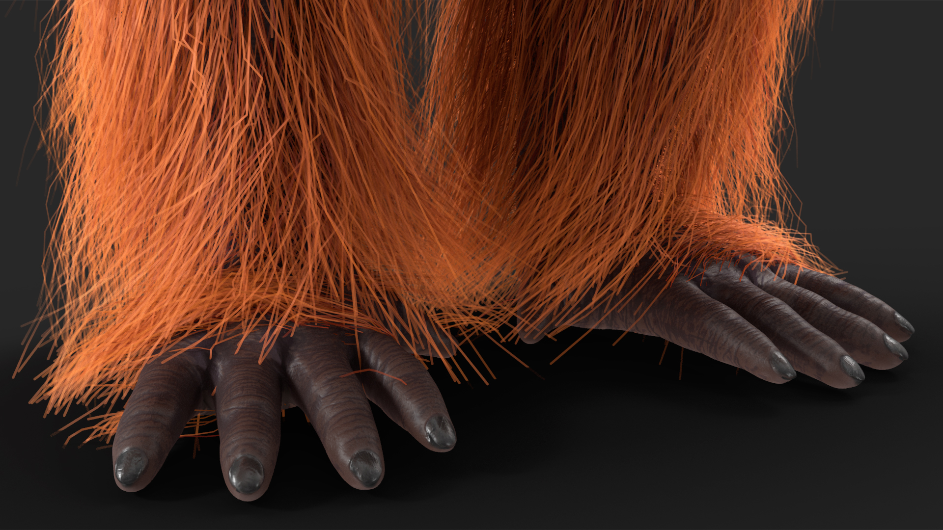 3D model Orangutan Rigged Fur