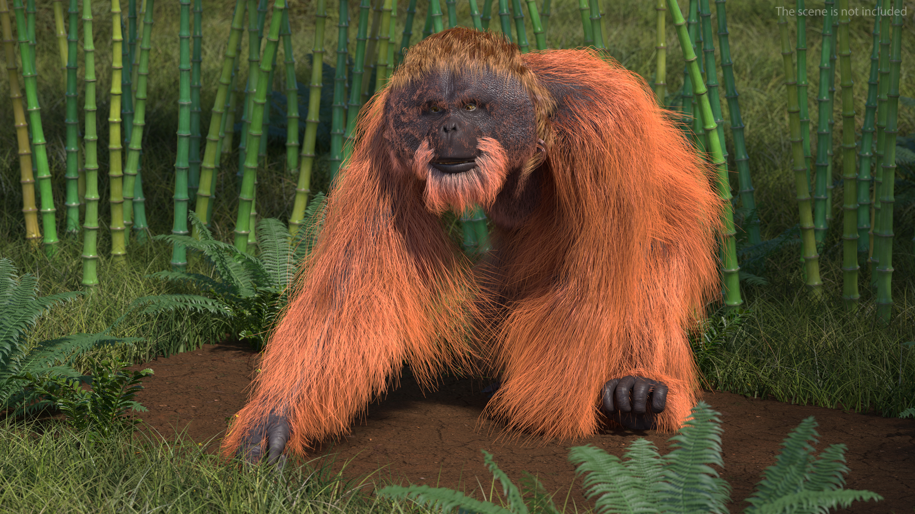 3D model Orangutan Rigged Fur