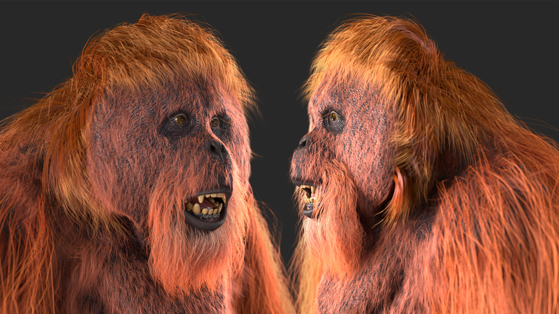 3D model Orangutan Rigged Fur