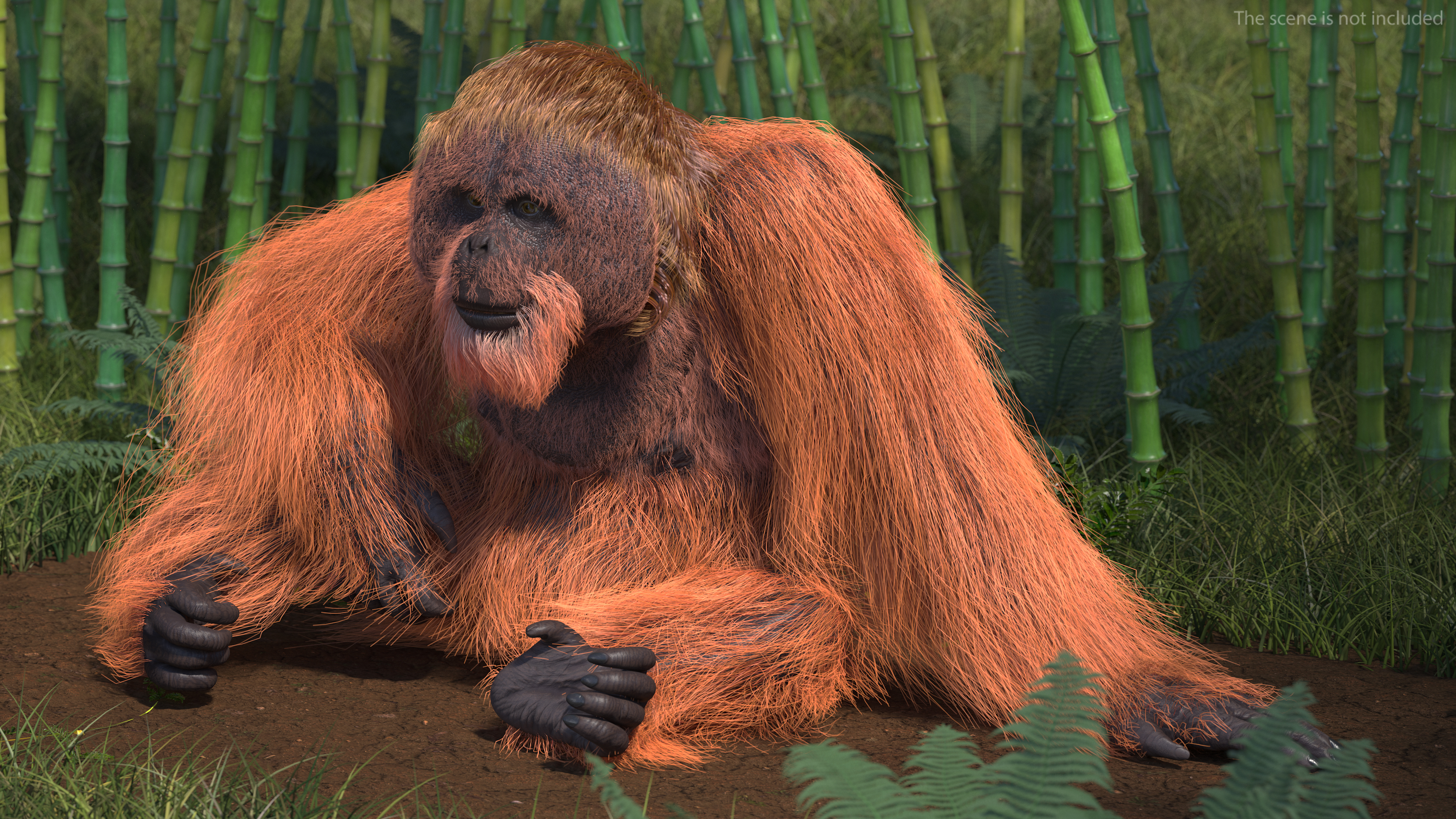 3D model Orangutan Rigged Fur