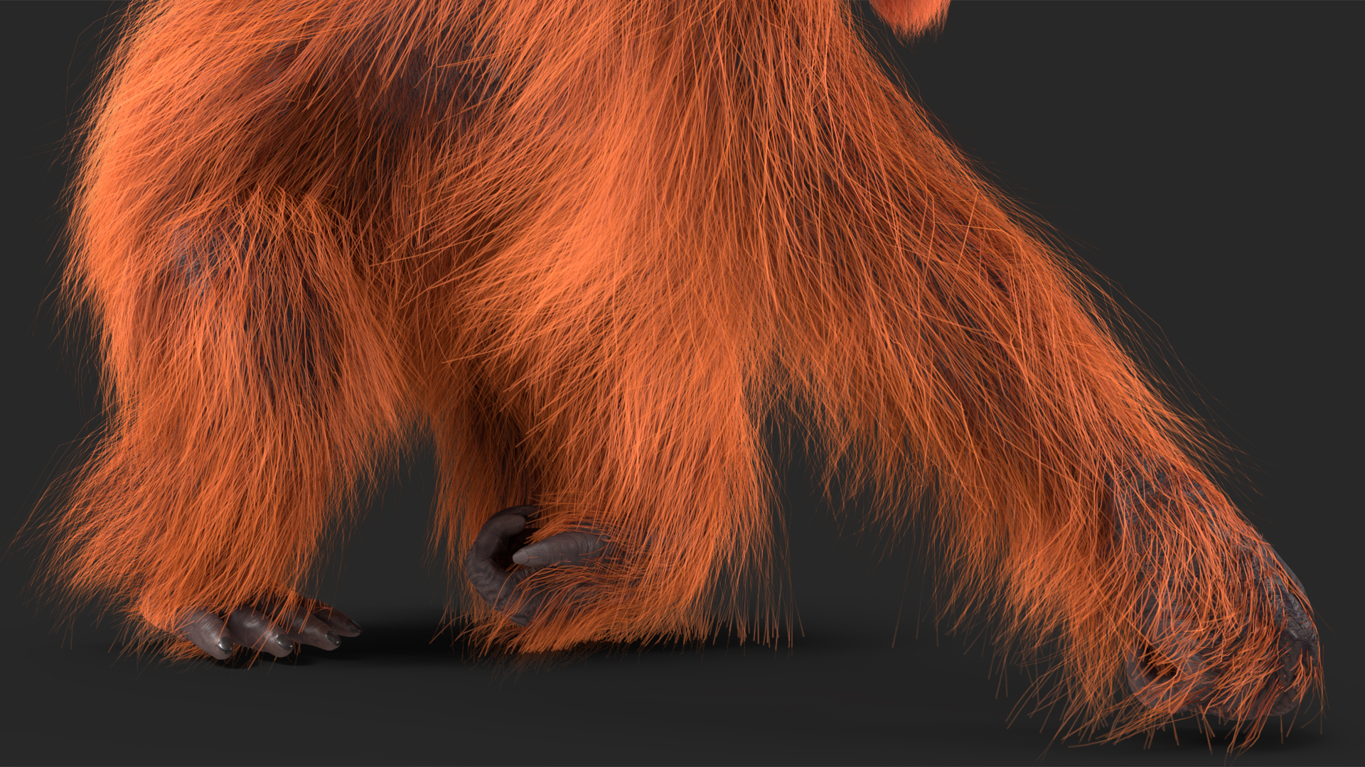 3D model Orangutan Rigged Fur