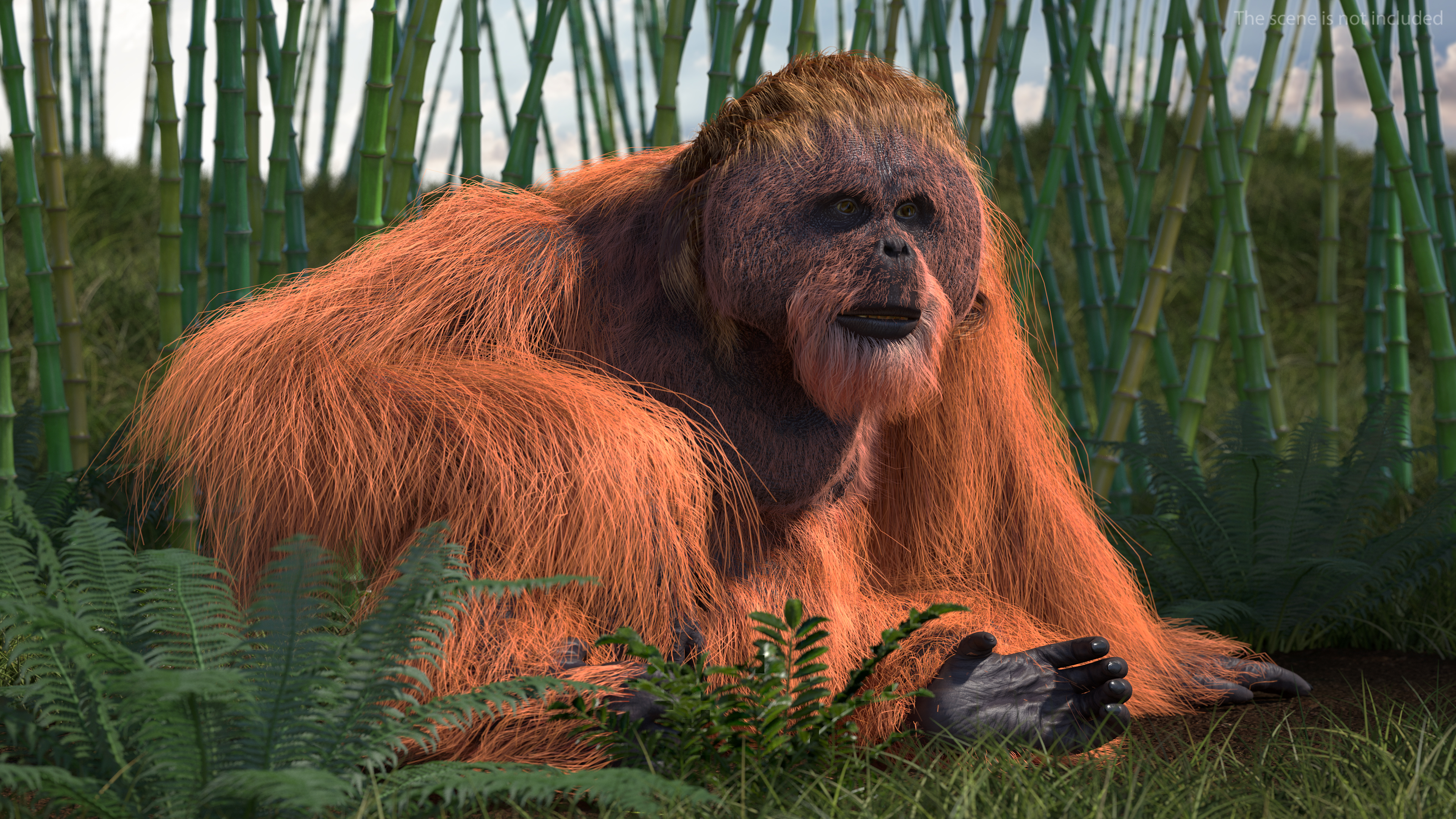 3D model Orangutan Rigged Fur