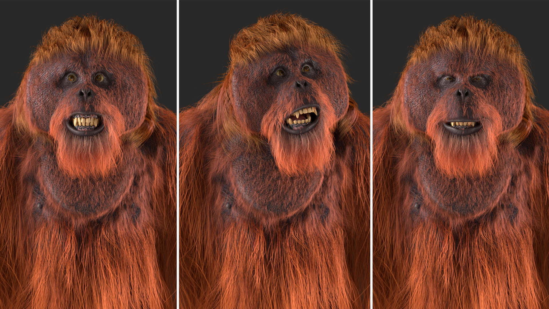 3D model Orangutan Rigged Fur