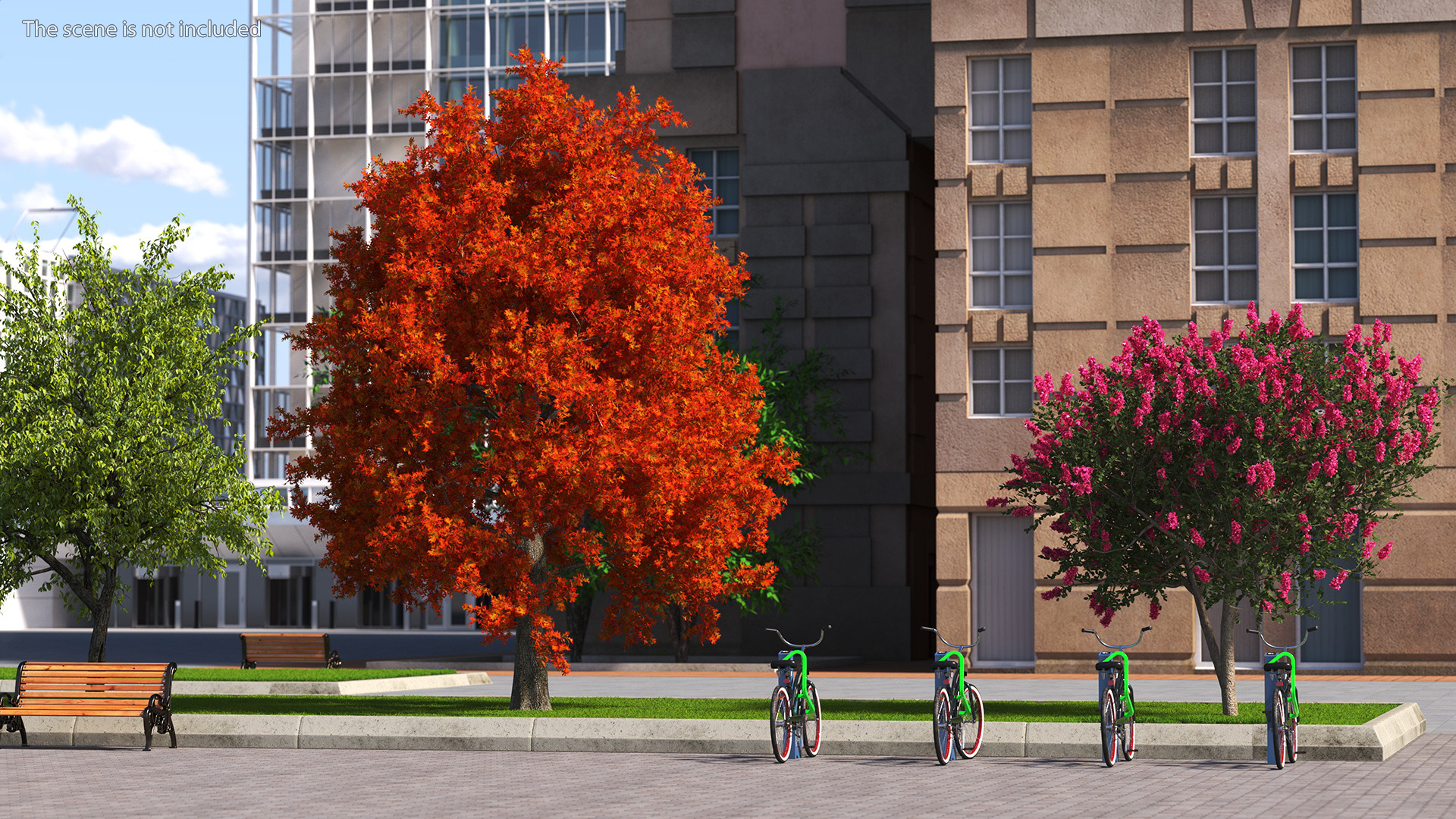 3D model Autumn Oak Tree