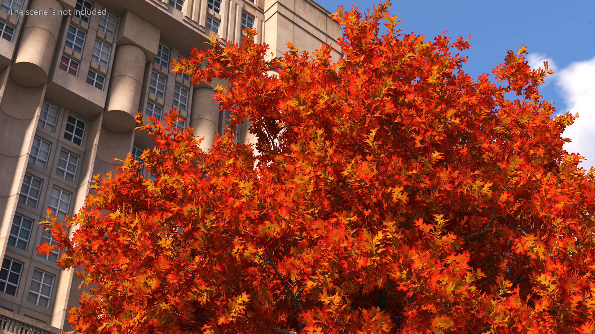 3D model Autumn Oak Tree