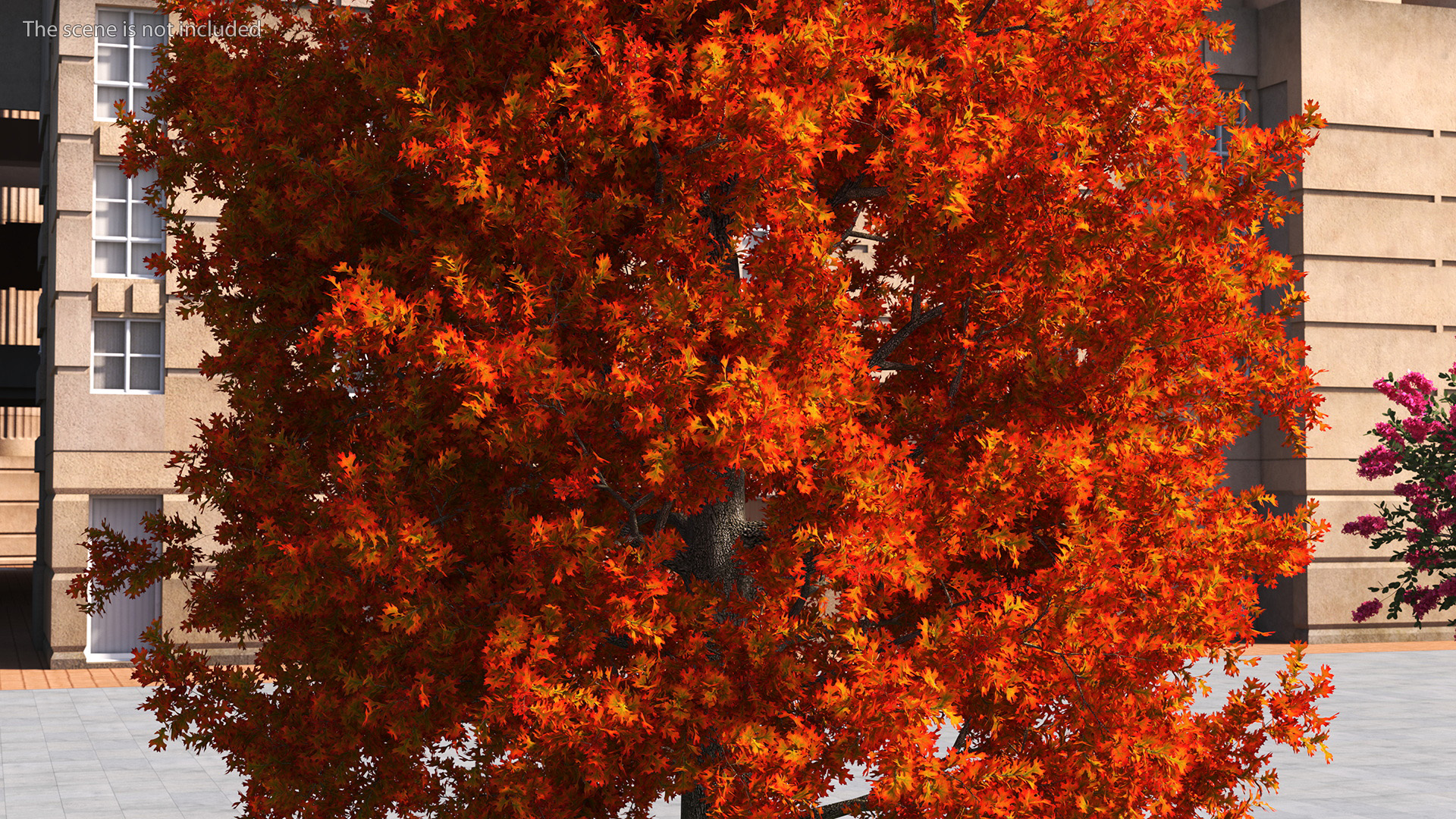 3D model Autumn Oak Tree