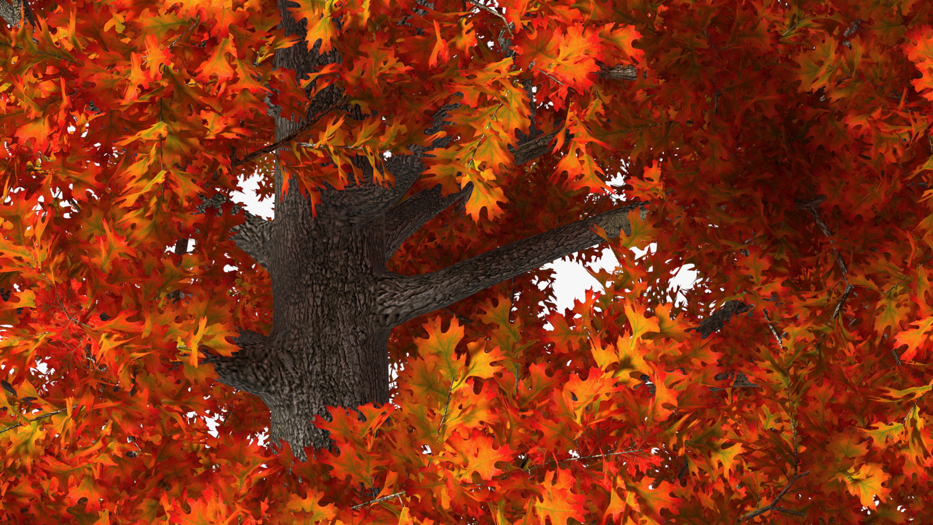 3D model Autumn Oak Tree