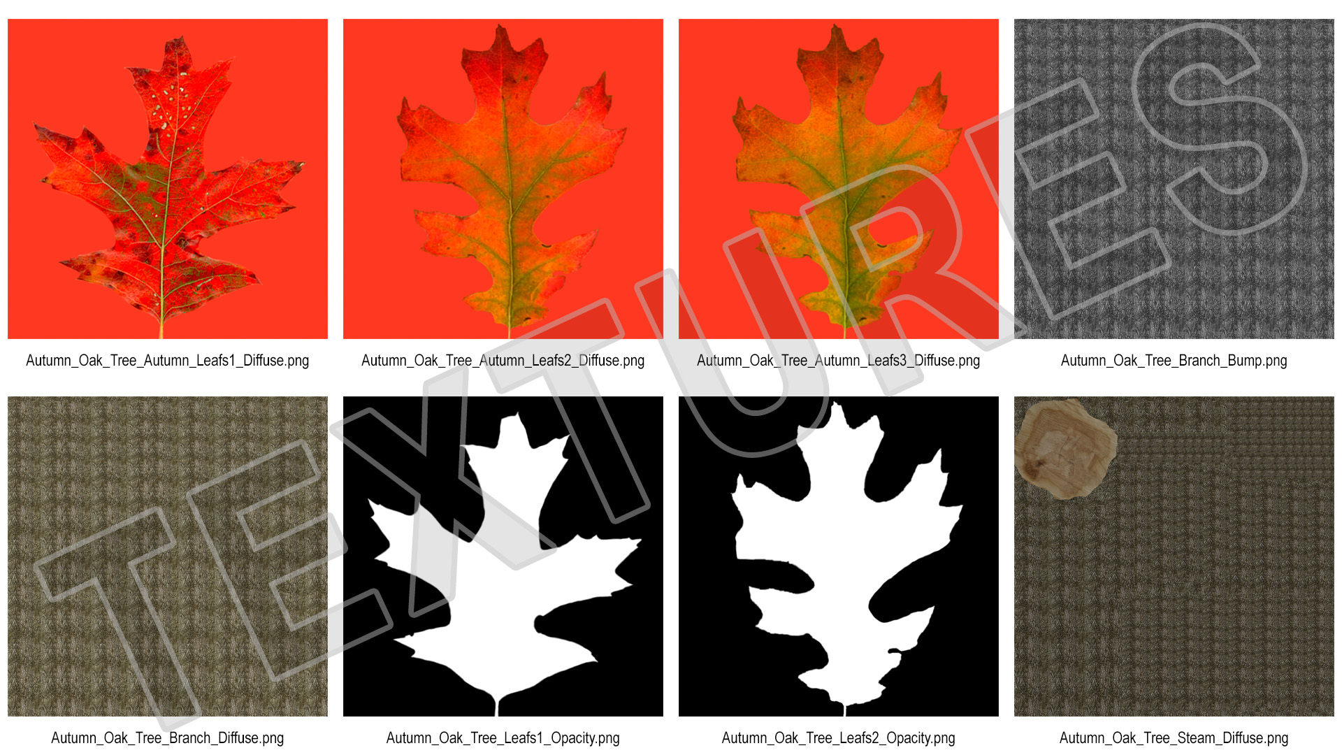 3D model Autumn Oak Tree